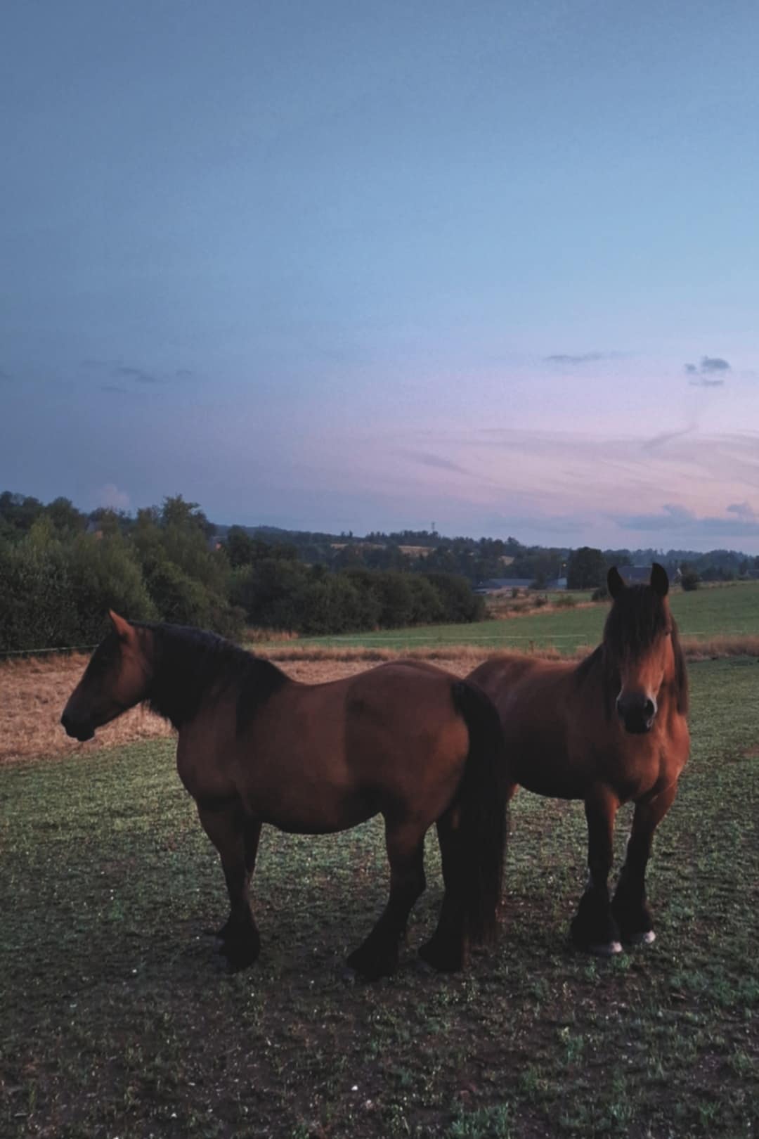 04f62b02 fa52 4423 8fc4 da9297dd69c3