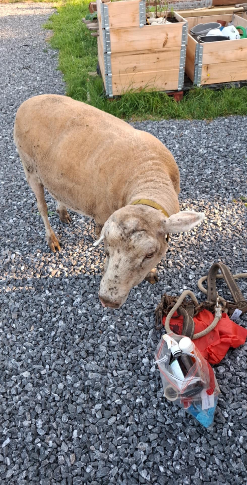 E61aab9d dc19 4652 a2d1 db7b05f055b5