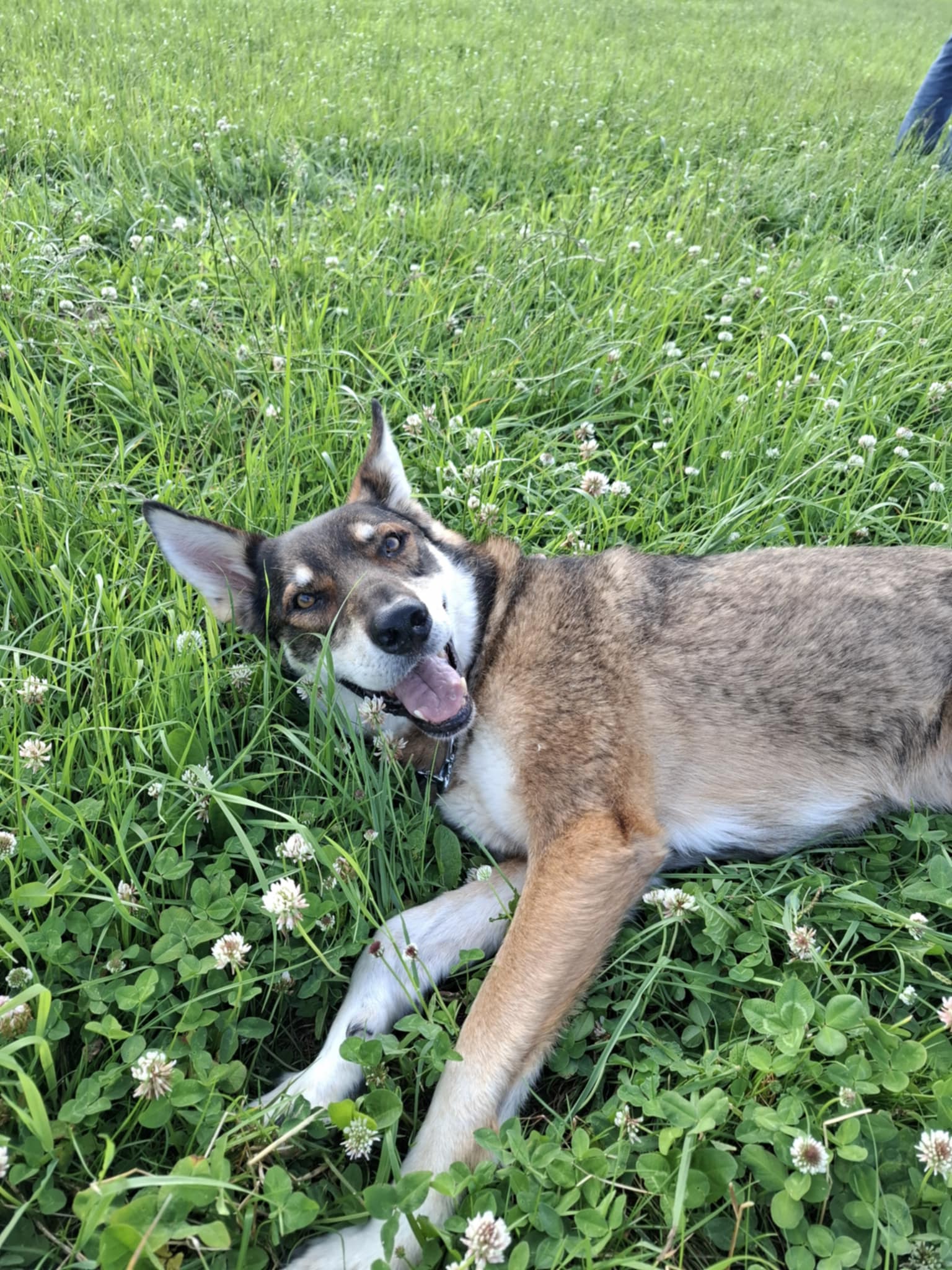 Be56d70d 1a7f 4645 a2a4 a7ead7d7f38a