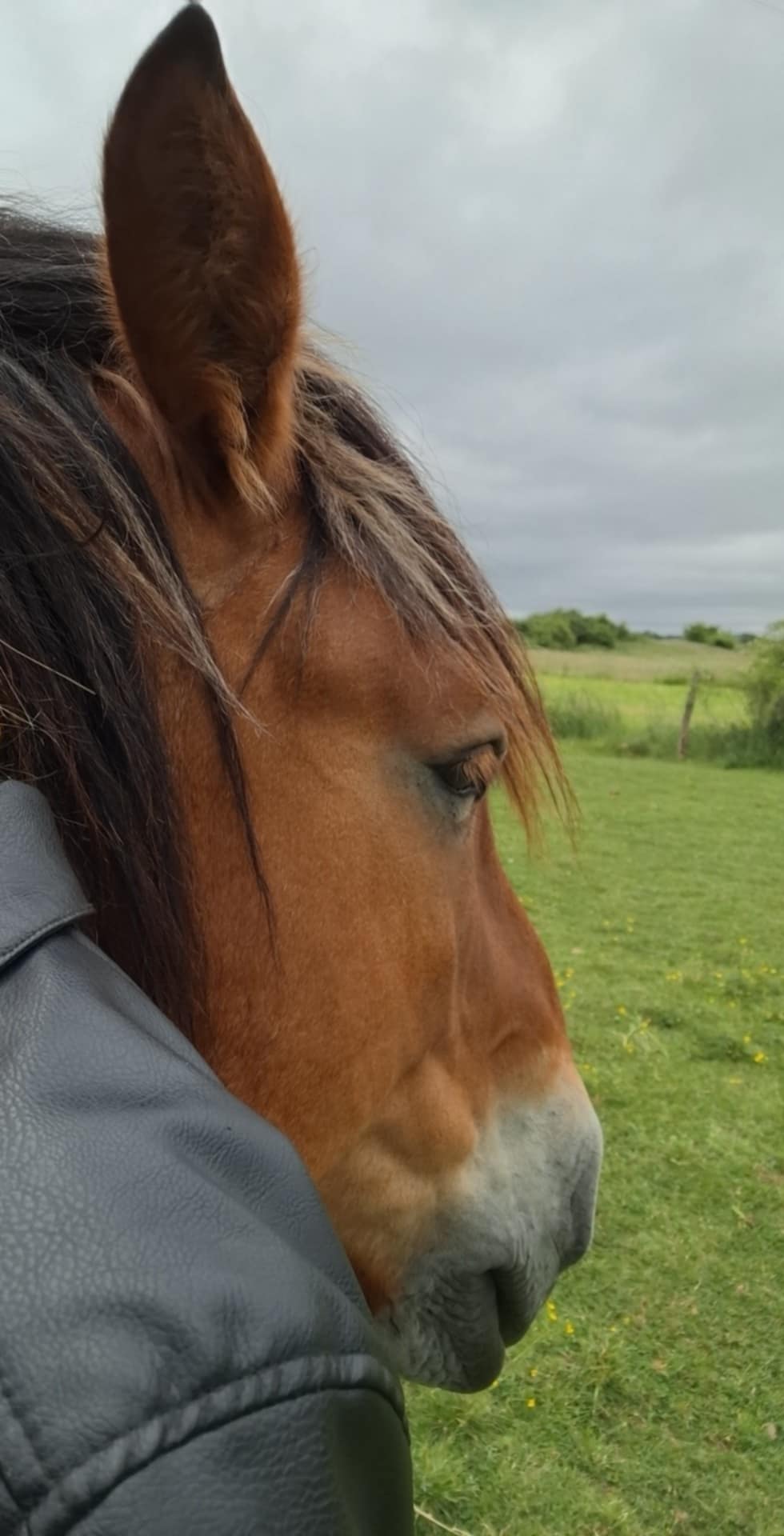 Fd500f9d ac26 46ff a44f 9c94c714e596