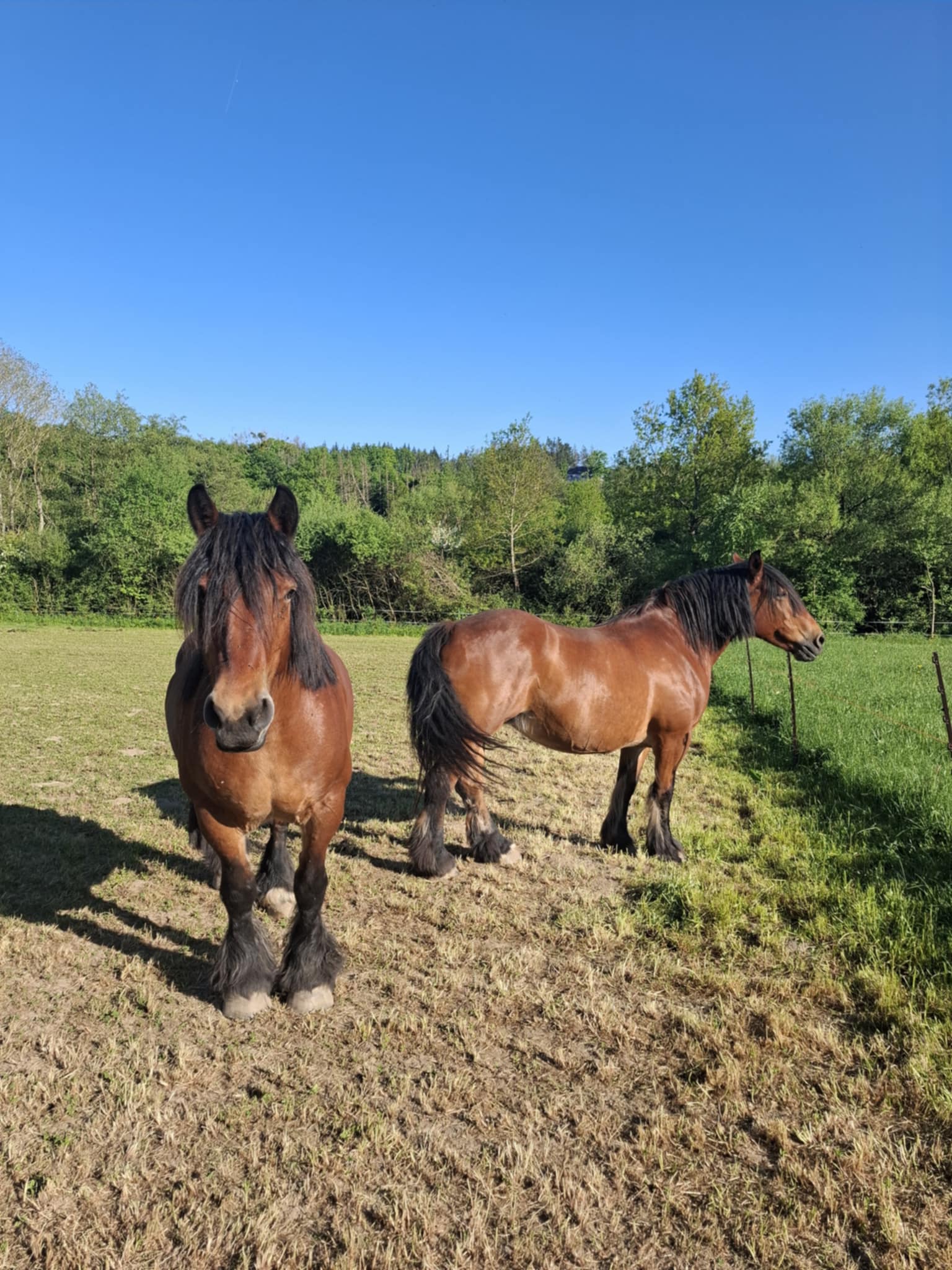 A588436f 8a61 4a63 a314 5472c36c5b8e