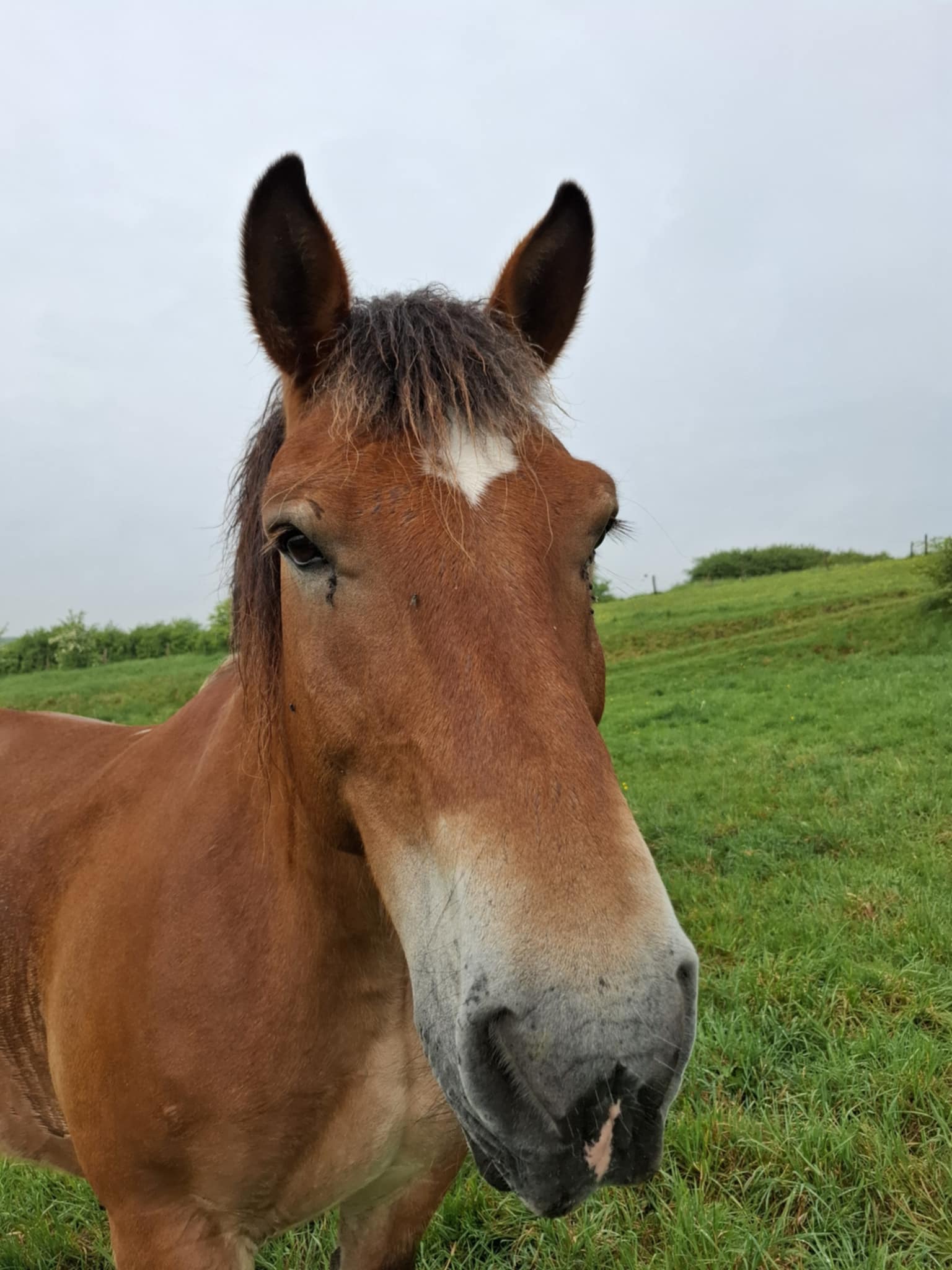 457f07ab 71a7 4d96 817d 523d967c39ff