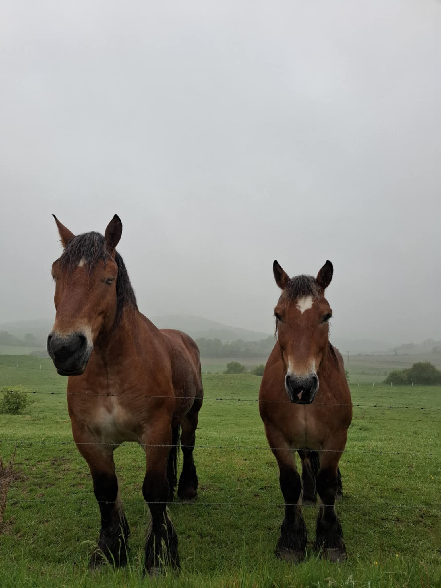 B425c691 ddaf 4049 83bf 0d8b3ca08caa