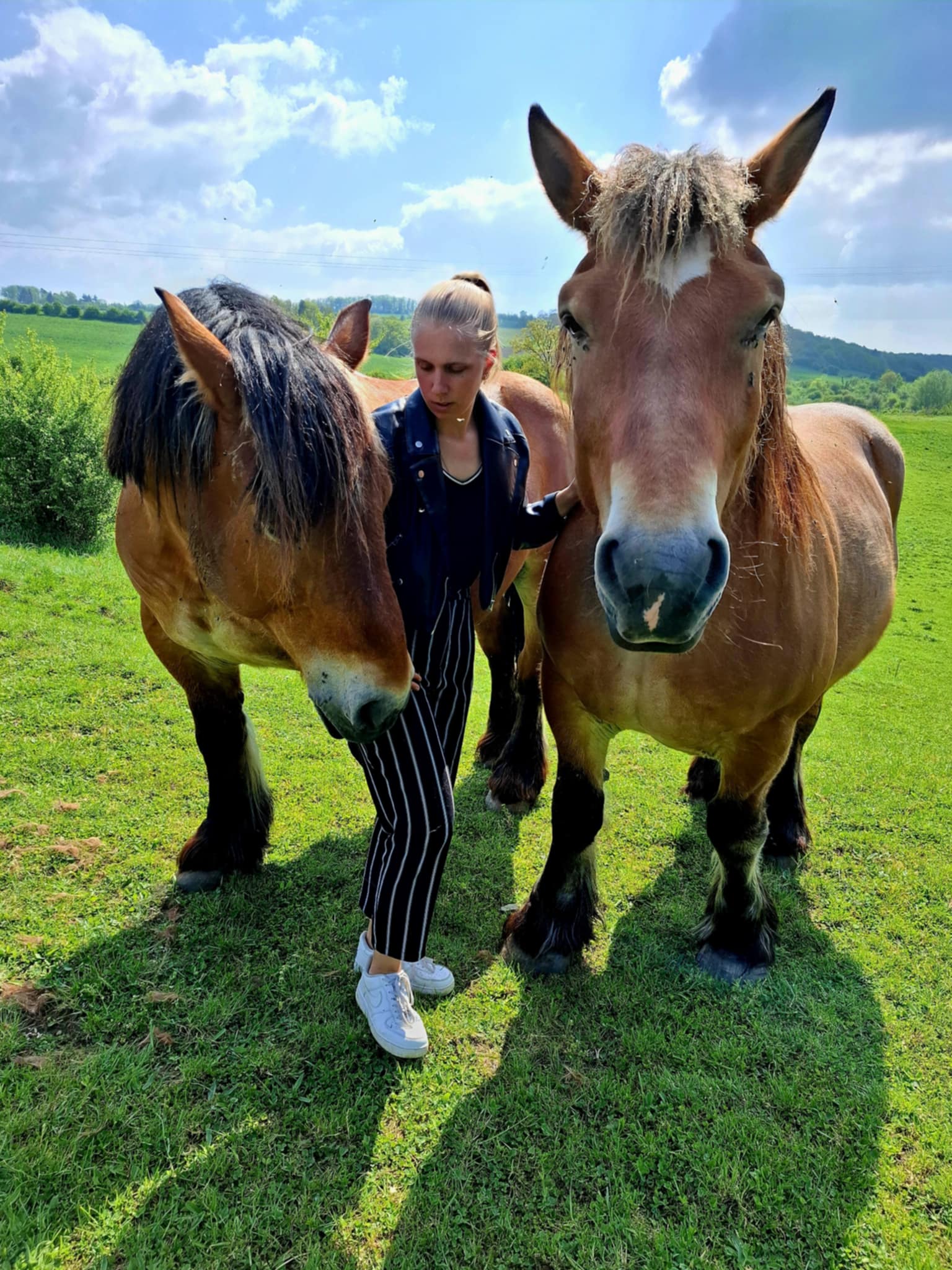 0f297b9d 1019 4349 9a2d 33a1bfc1ea50