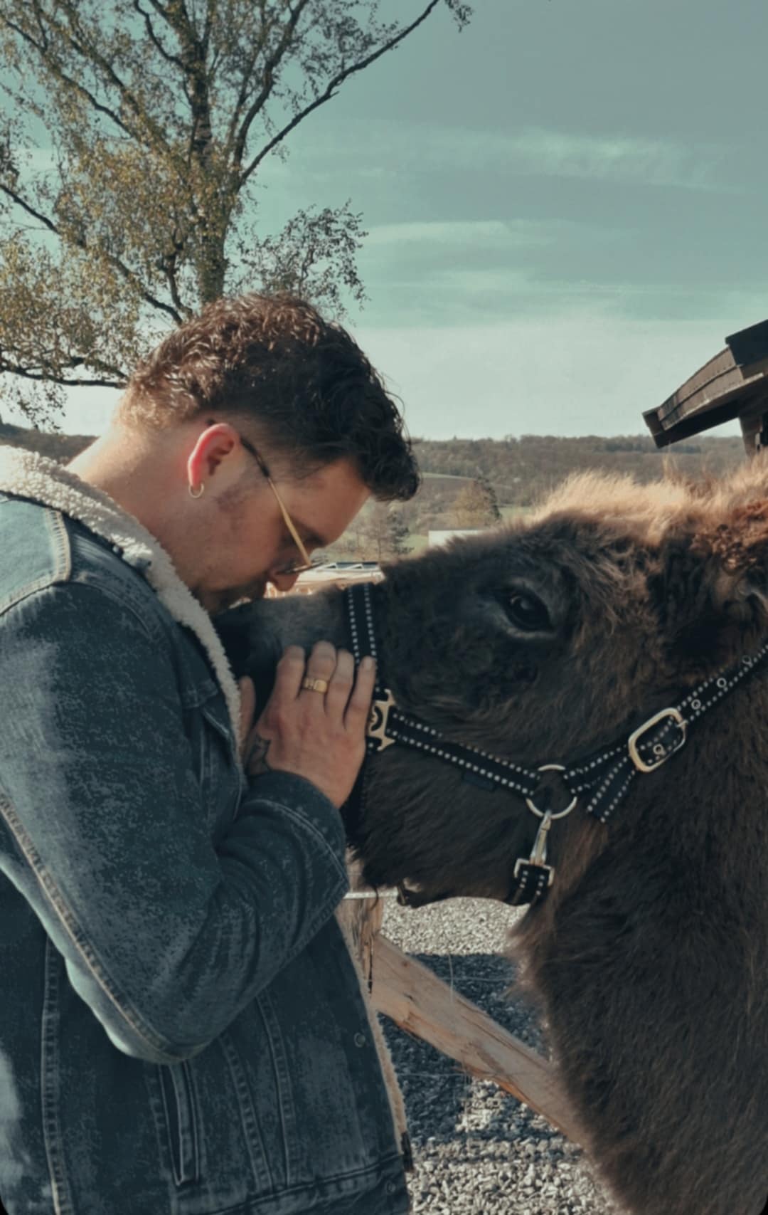 63e9bb93 0c7f 41c0 874c 5896471777b5