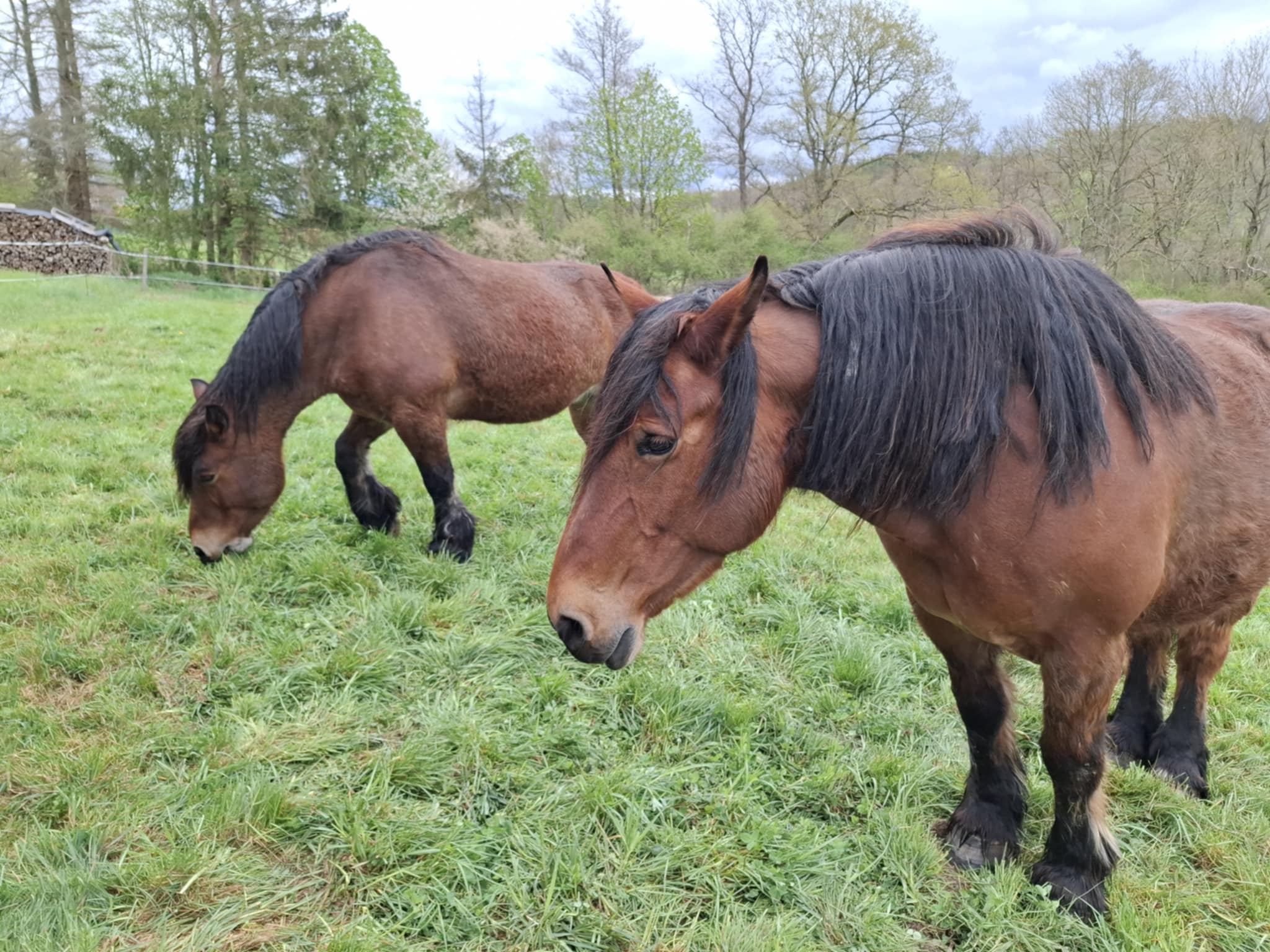 9113da81 1b8d 432c 93d5 8ab1aa898494