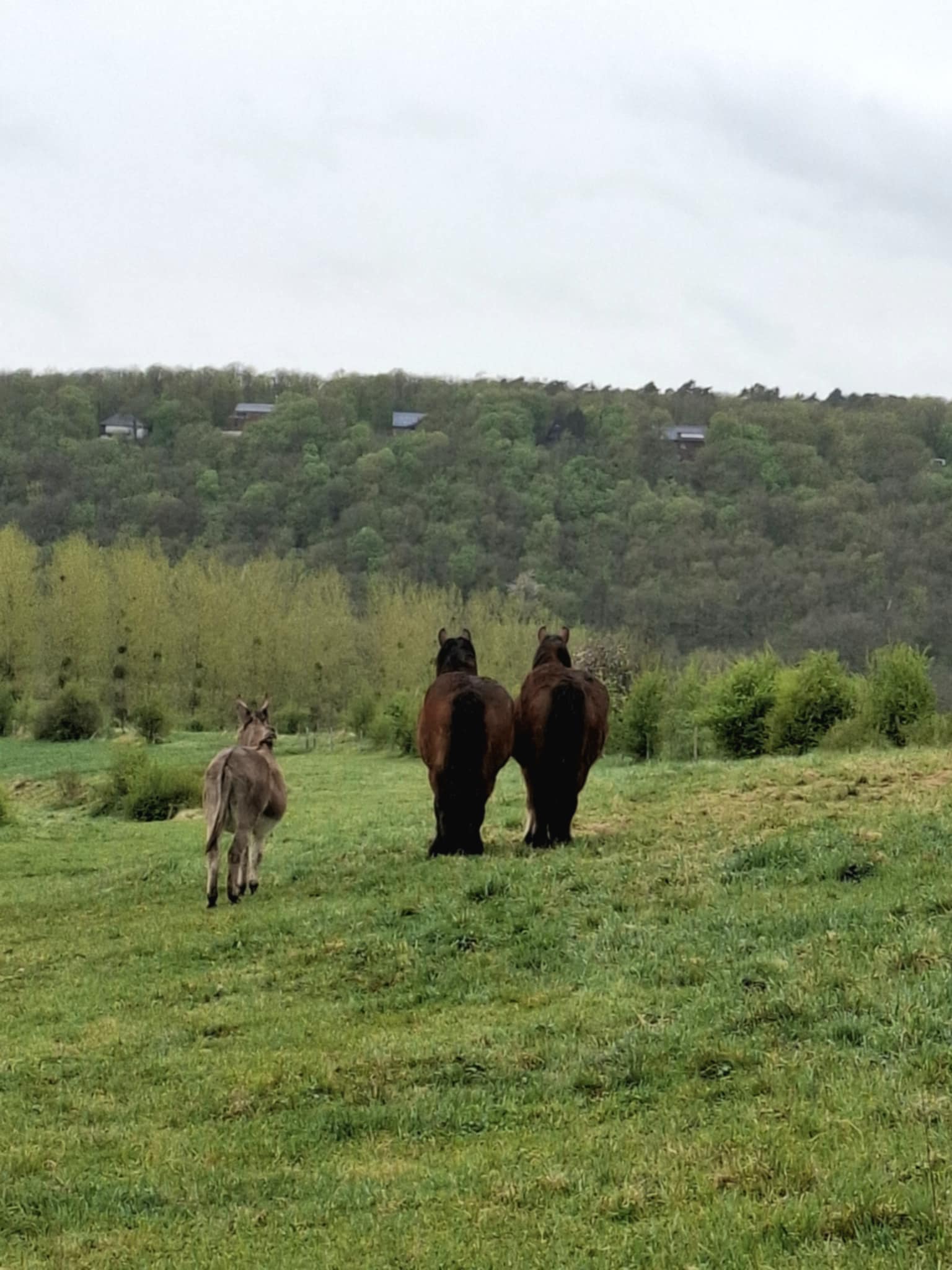 3fcf47a2 f515 4ce5 8eb6 9453b68843b6