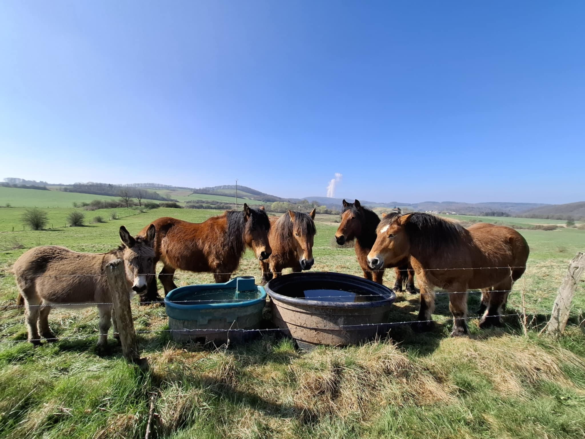 F94b297f c937 4437 b01a 8d448199ad37