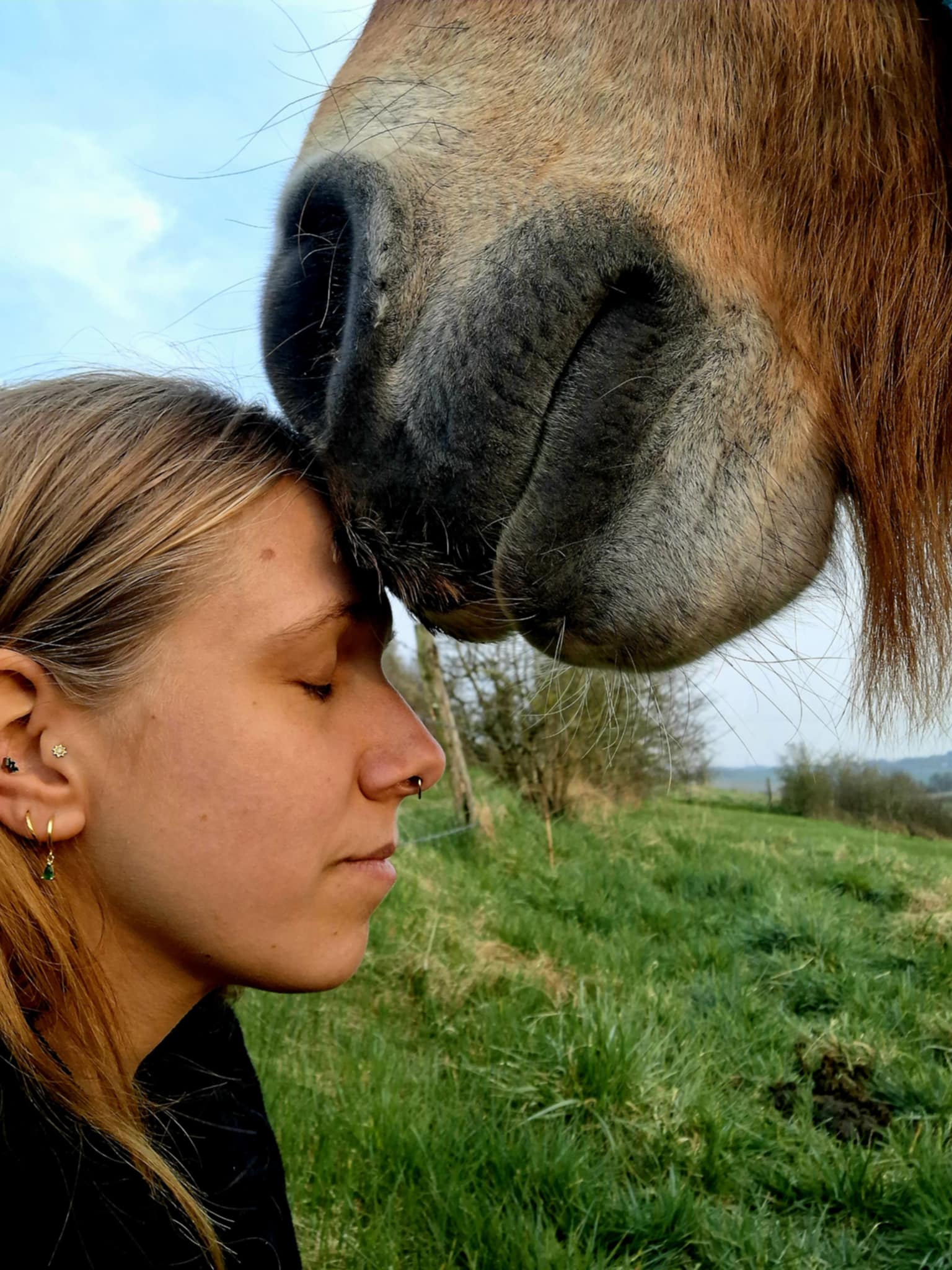 66ebad69 451a 4777 bfb0 87036db7fc59