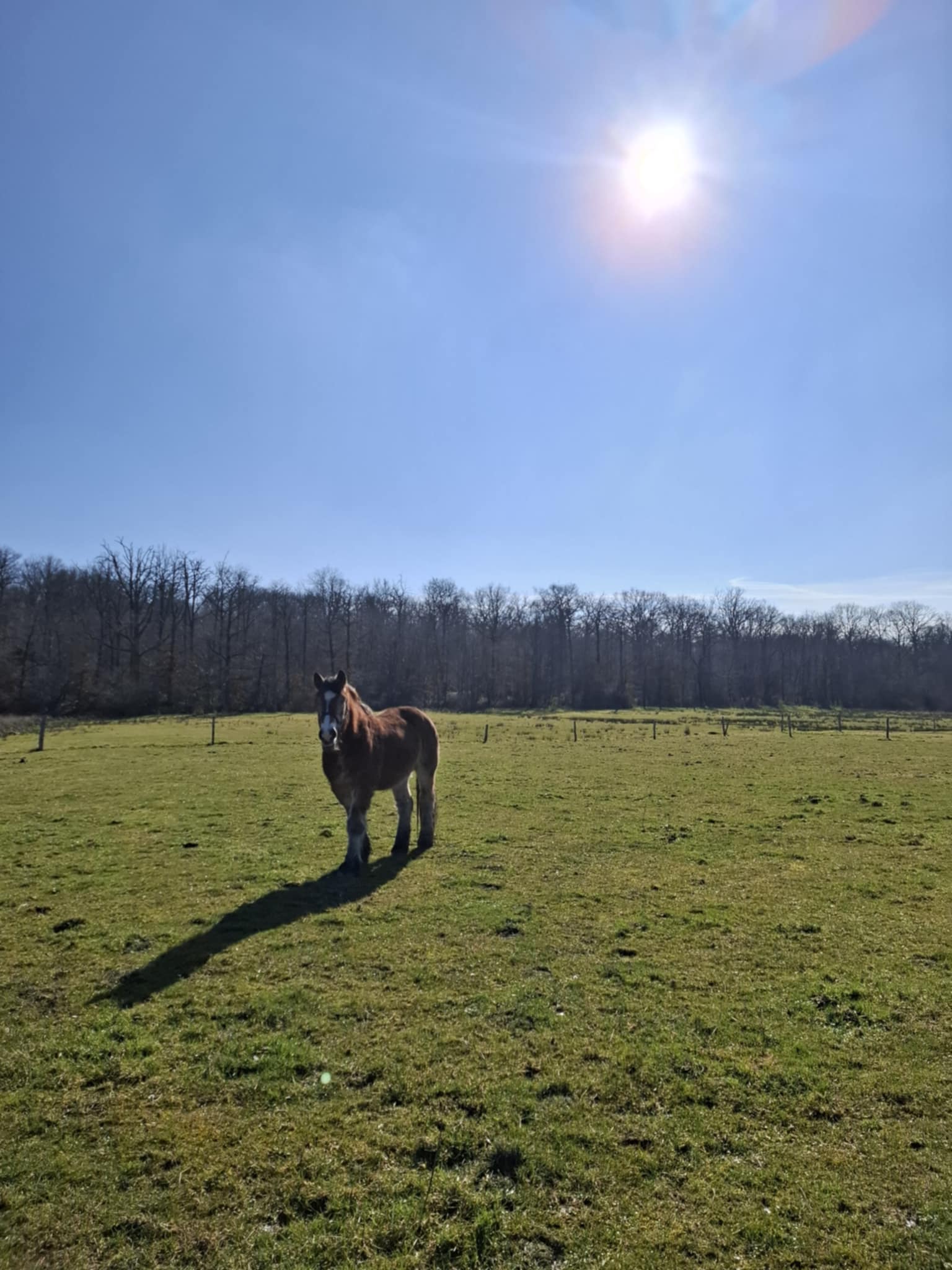 Ee3c0c67 7553 4246 8915 f9632ea86000