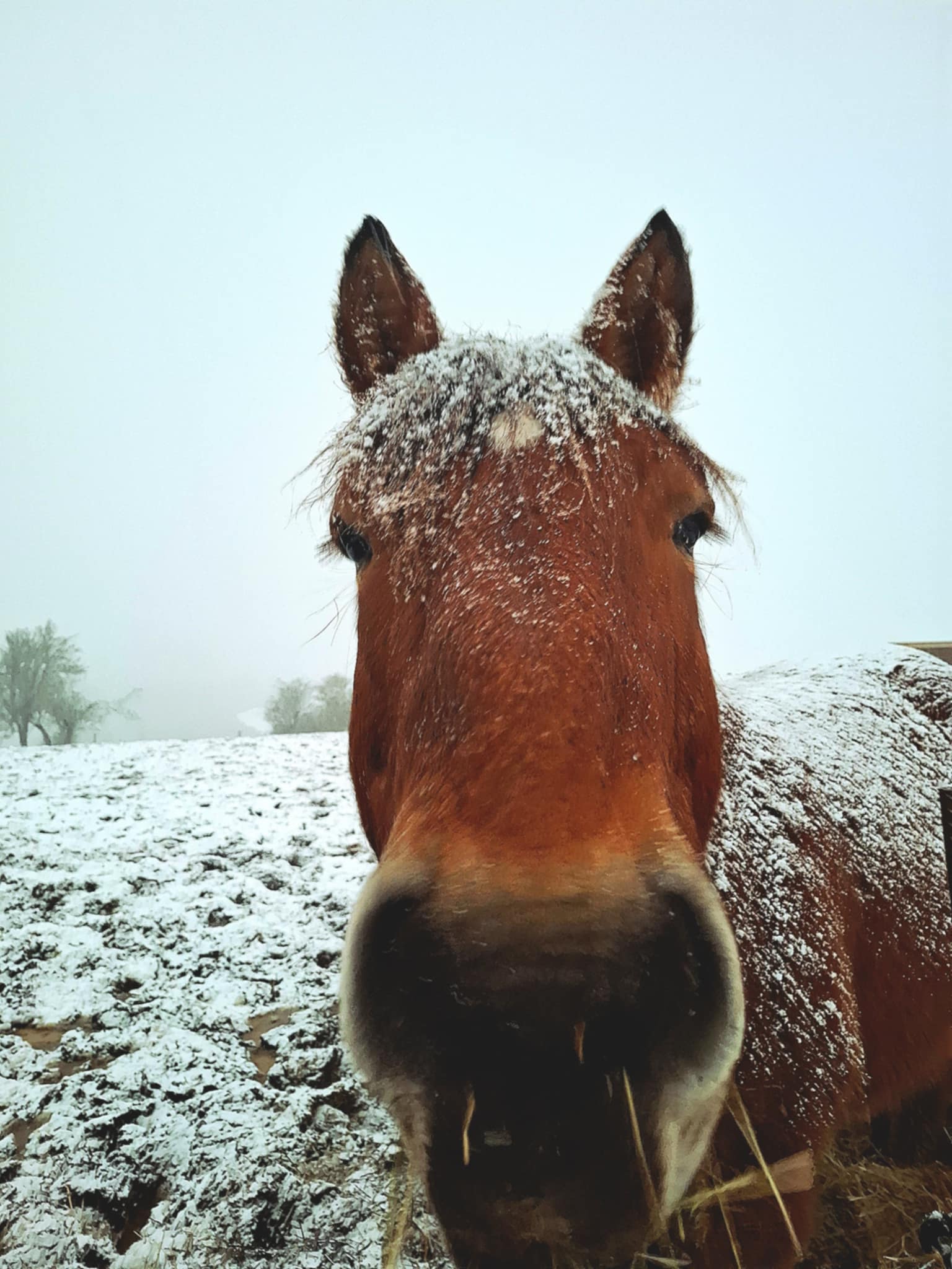 8f15c7f5 b894 44bd 8799 708b1501a310