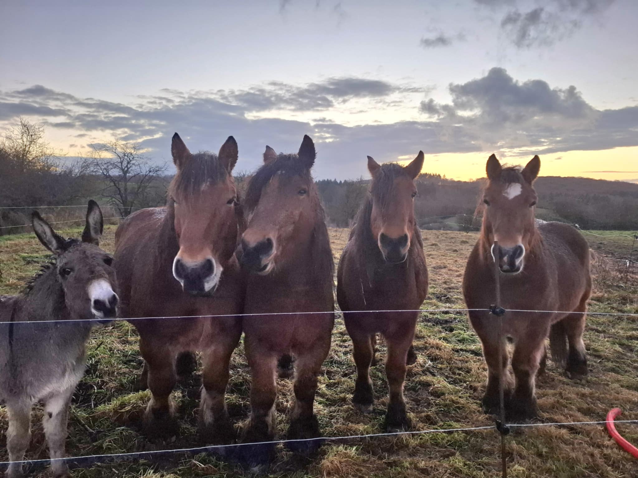 D8991cba b4e1 4bd4 ba80 d42e9962cb1f