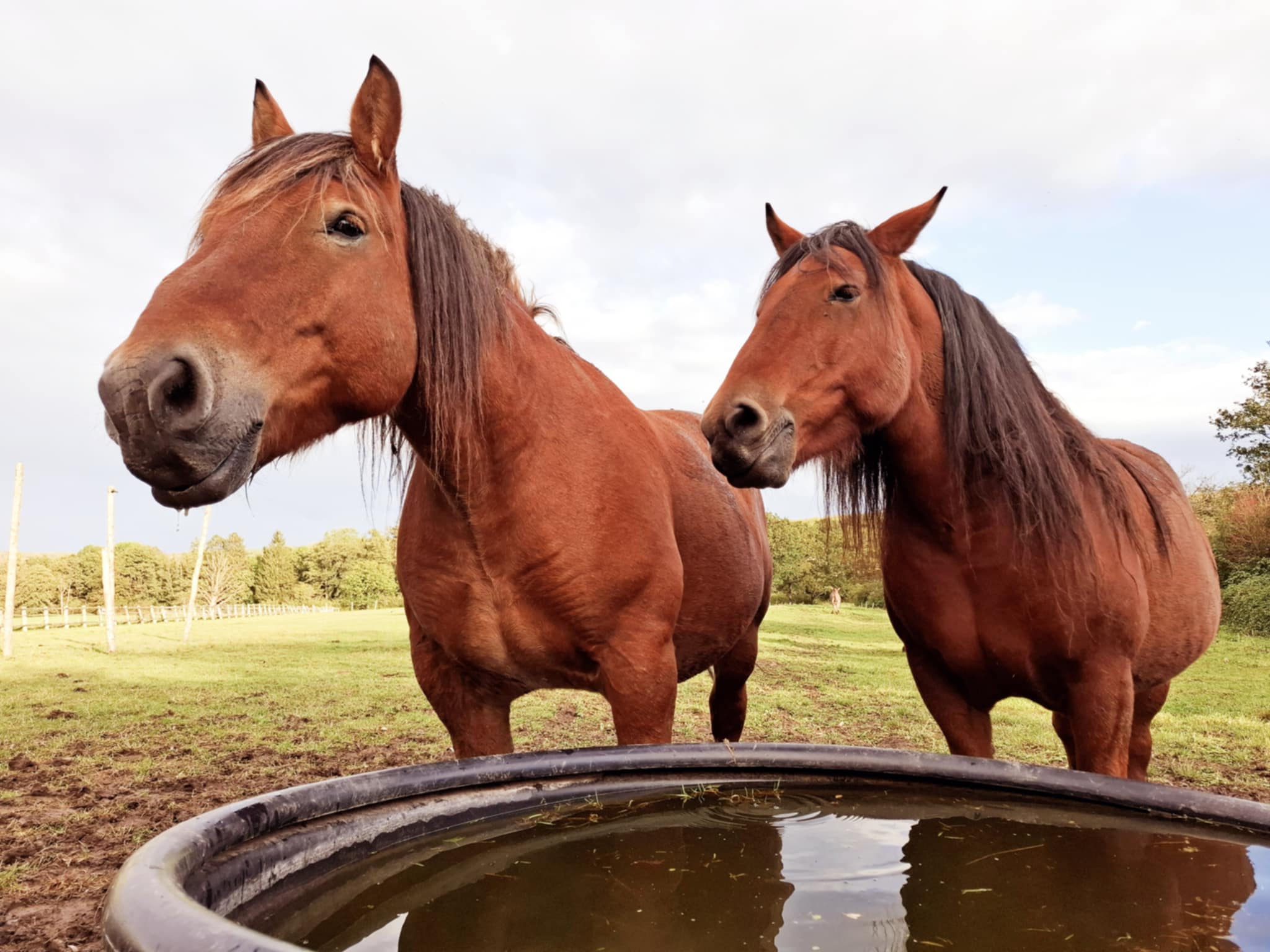 2ca7c84a 89c2 44ea 94ab 2d2d605f8554