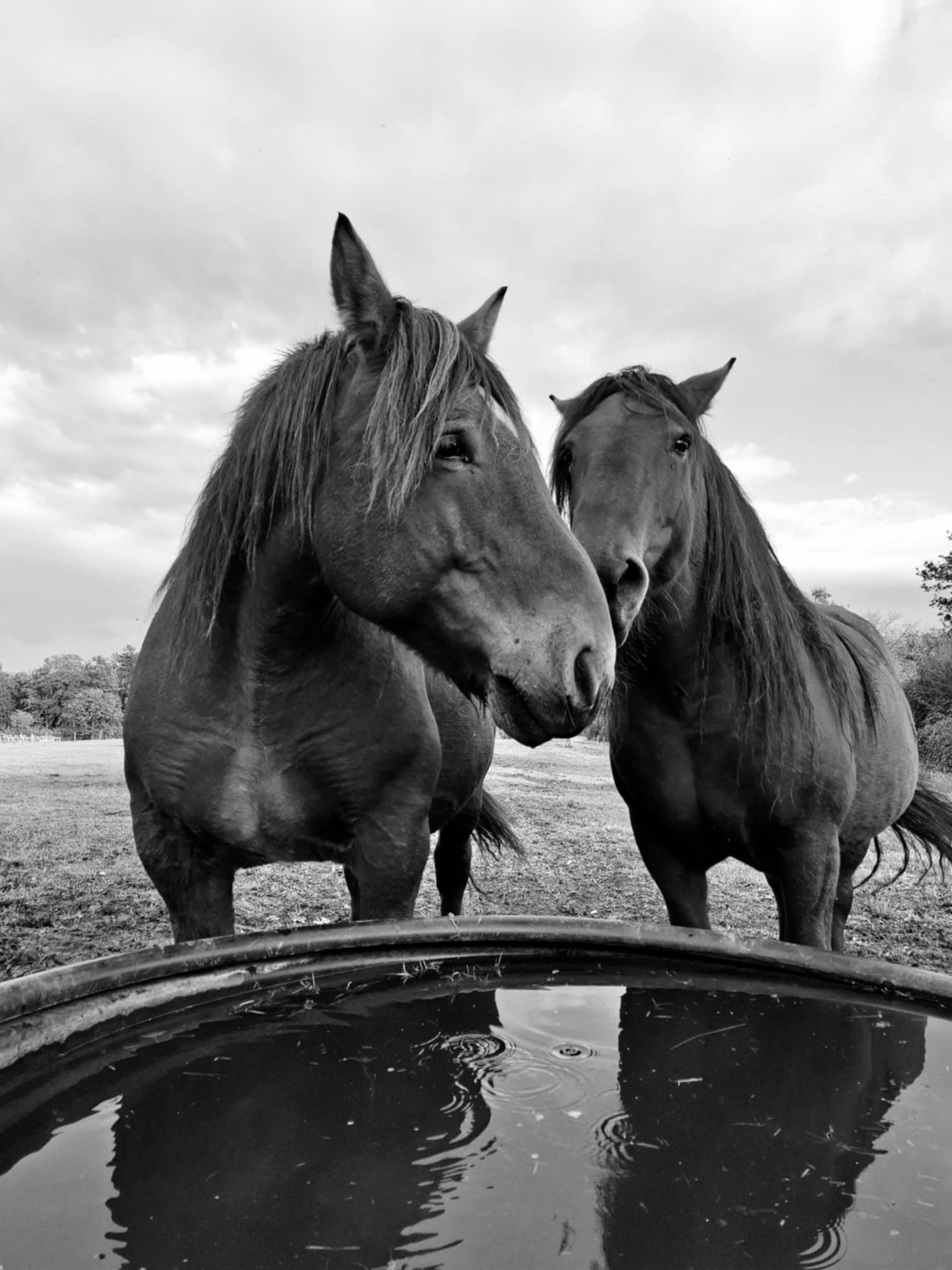 5ba3aa4d f7d8 45f7 ac4a 2c76cb303003