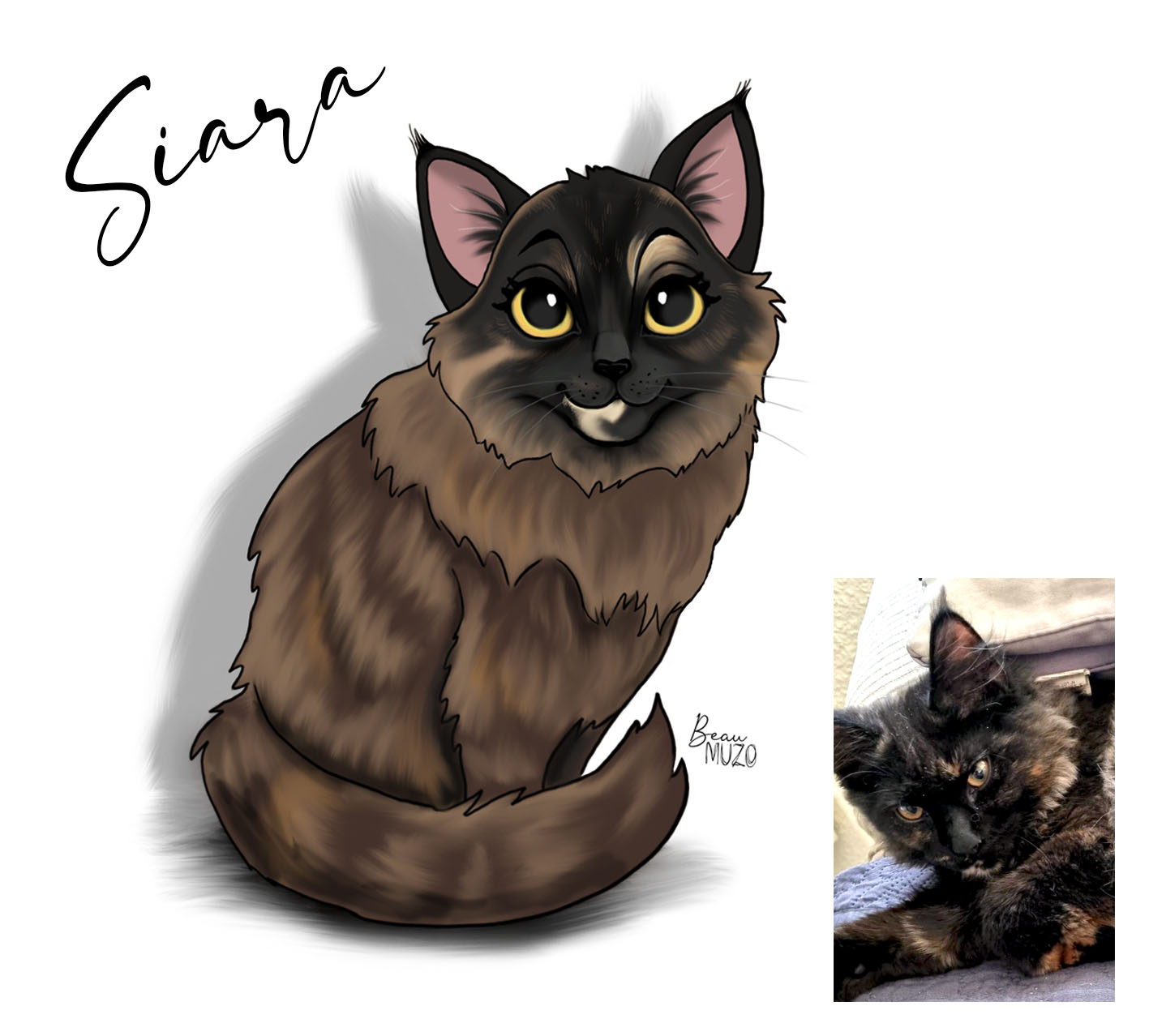 Chat siara cartoon photo