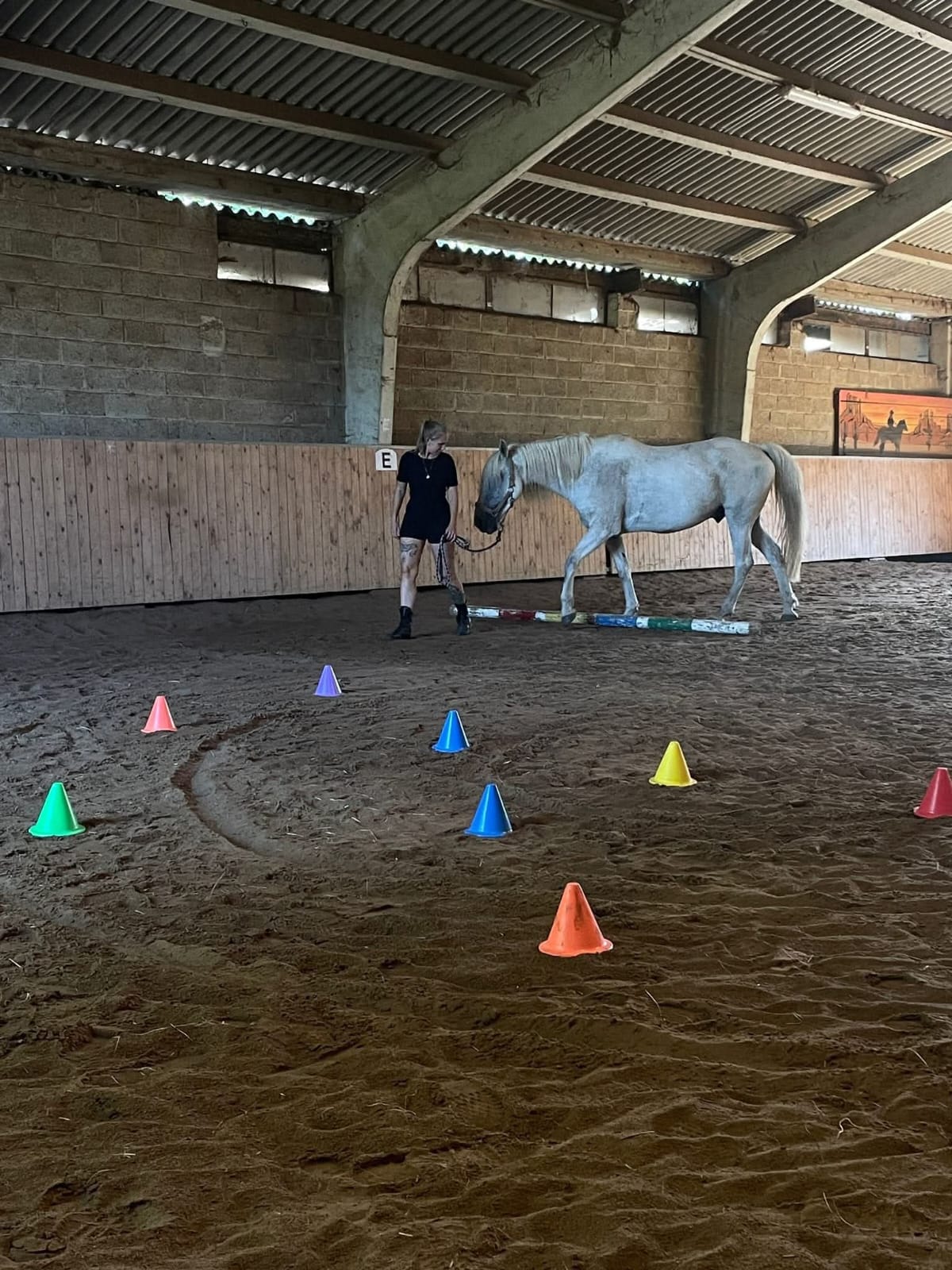 506970cf dae4 46ab b2fc 94e826bdc55a 1 