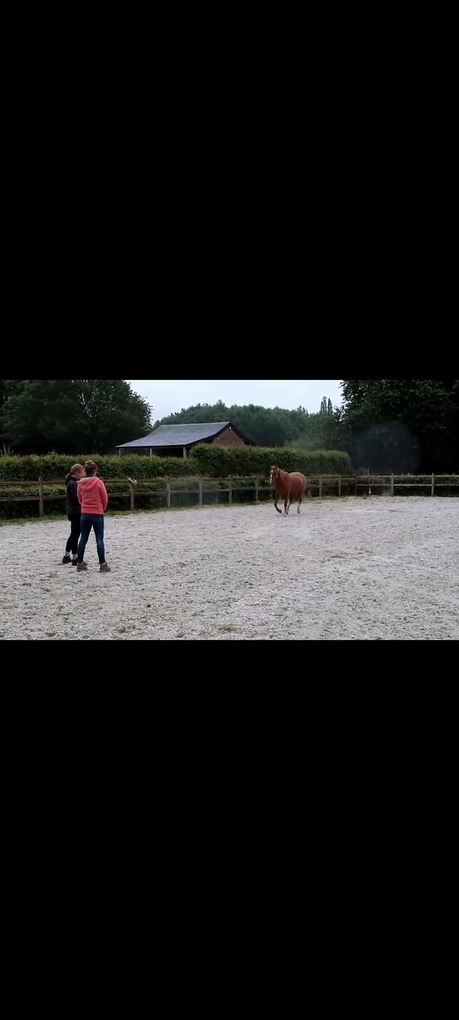 92a6b984 9e6d 4f01 b17b a8777f580411 1 