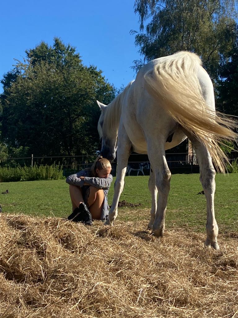 84dc4a6d e253 422f abe4 c7ee1019a97c 1 