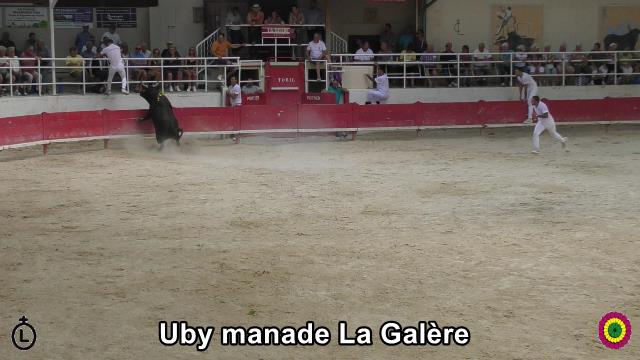2025-07-27-Uby