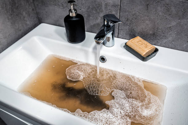 Istockphoto-1490655450-612x612