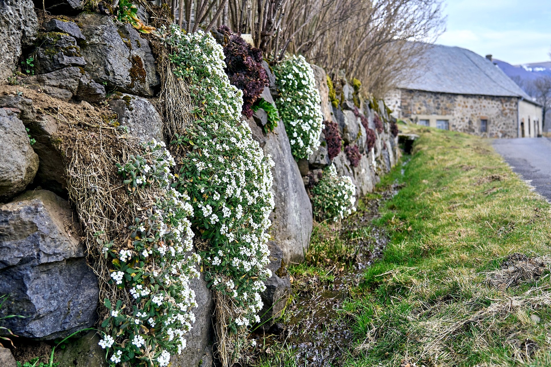 Image112