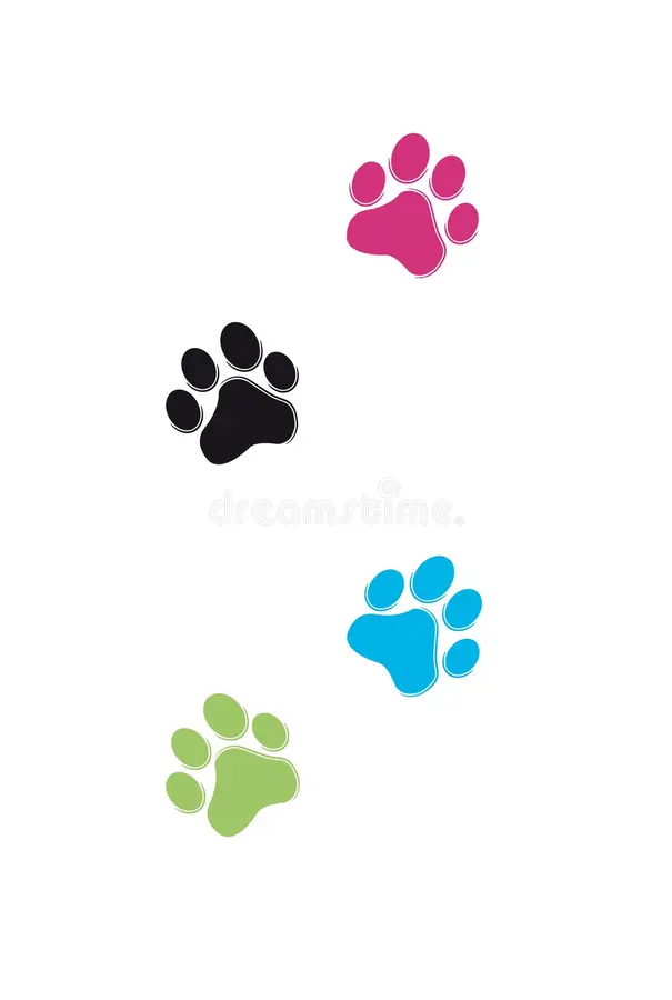 Pattes-colorees-stylisees-de-chat-de-vecteur-30055669