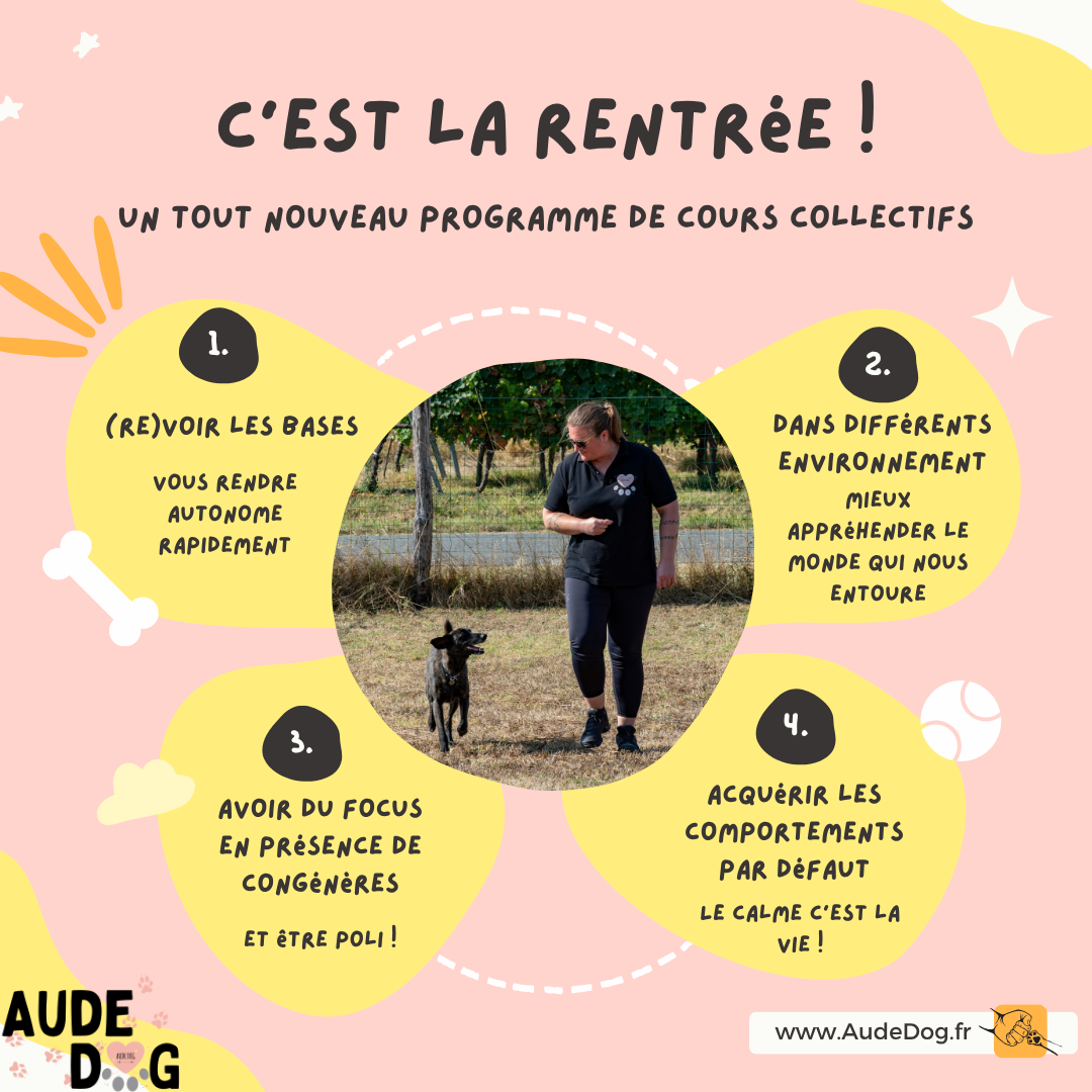 C'est la rentrée !