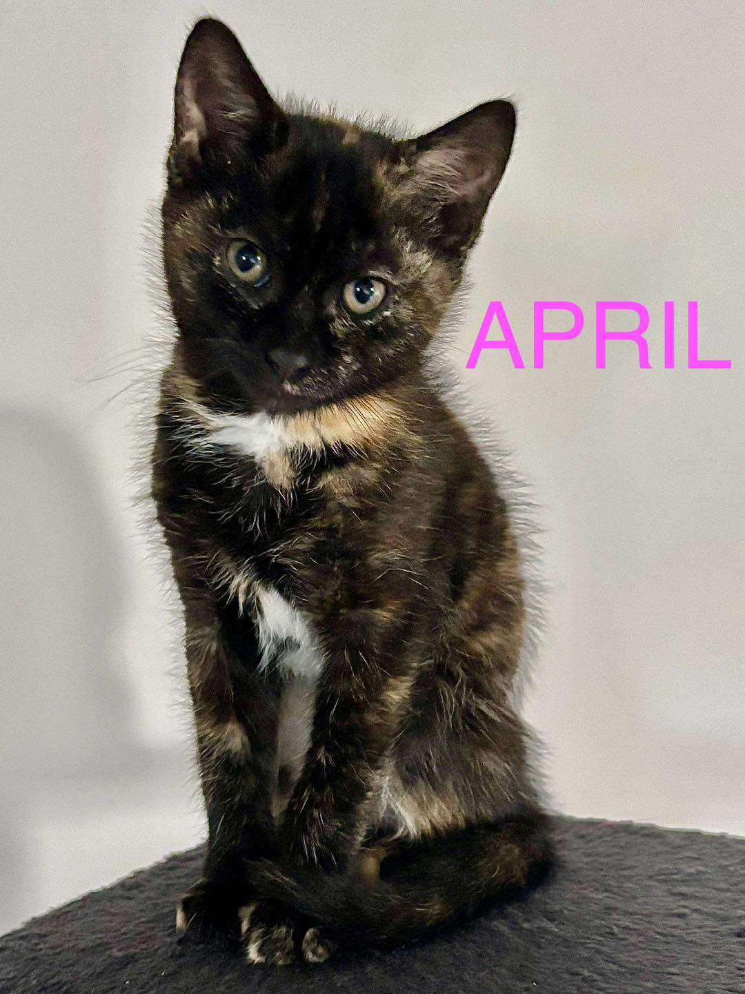 April
