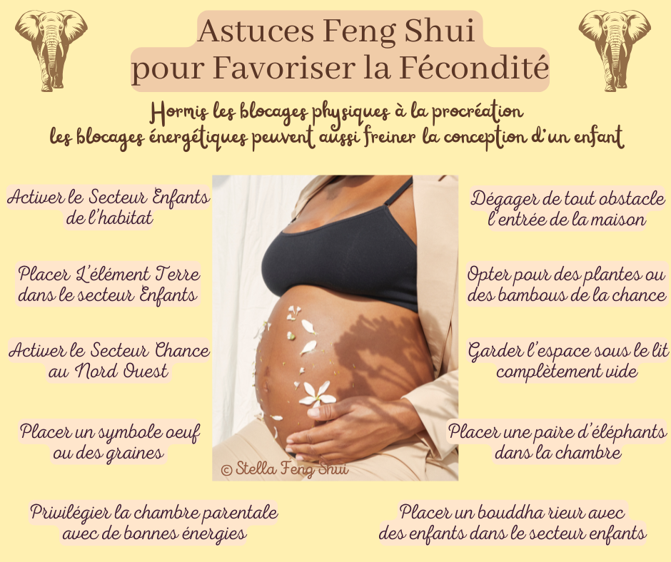 Astuce-Feng-Shui-pour-favoriser-la-fecondite