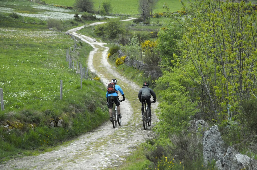 Vtt