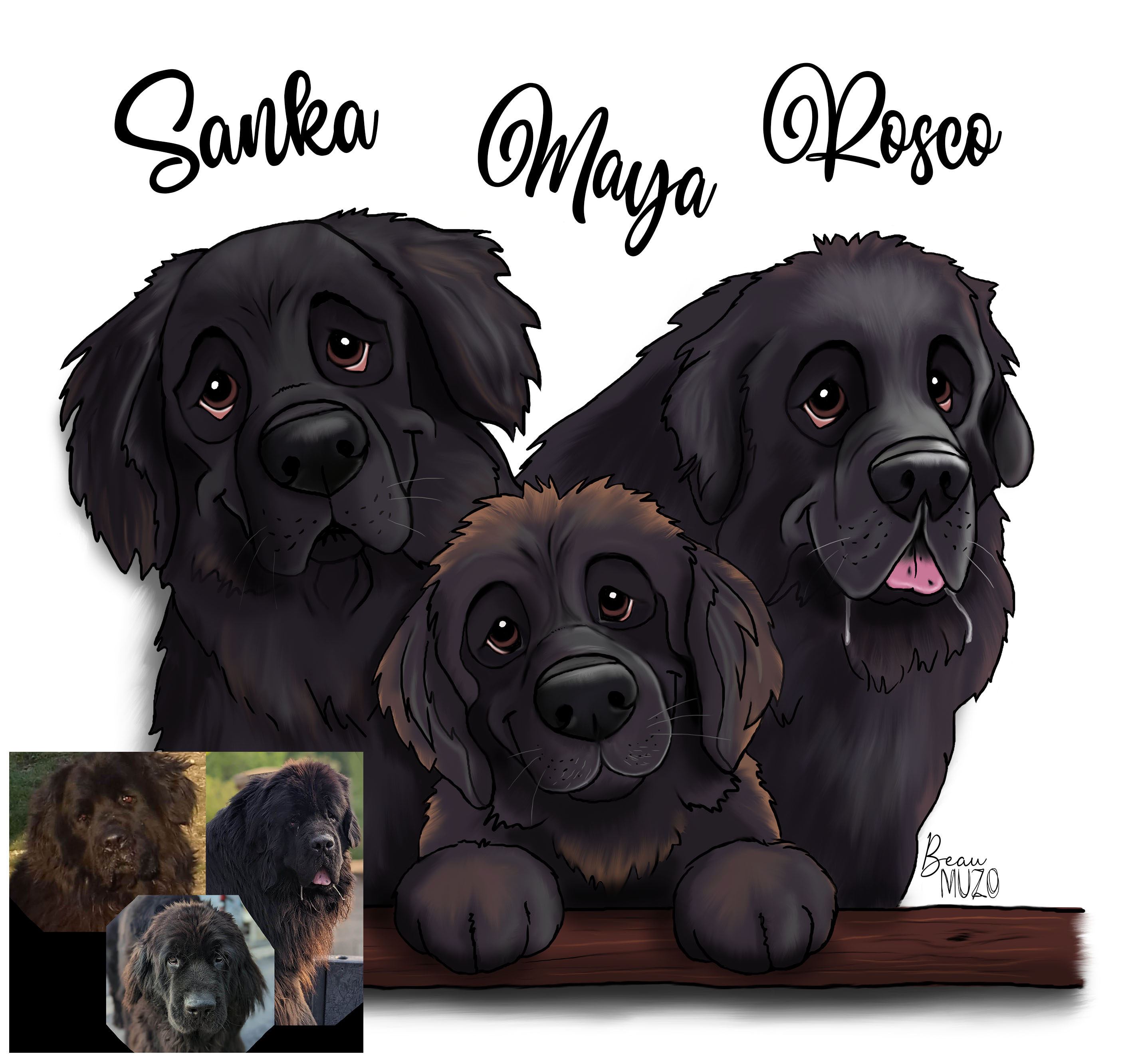 Rosco maya sanka et photo