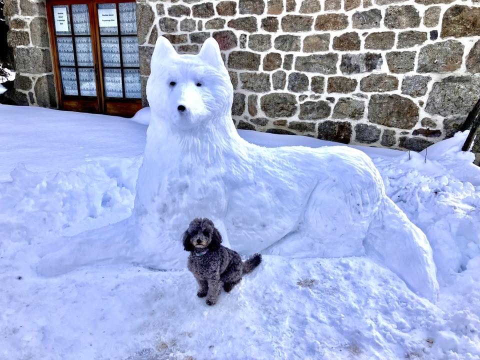 496303558 1507470873988162 7556915050745675658 n