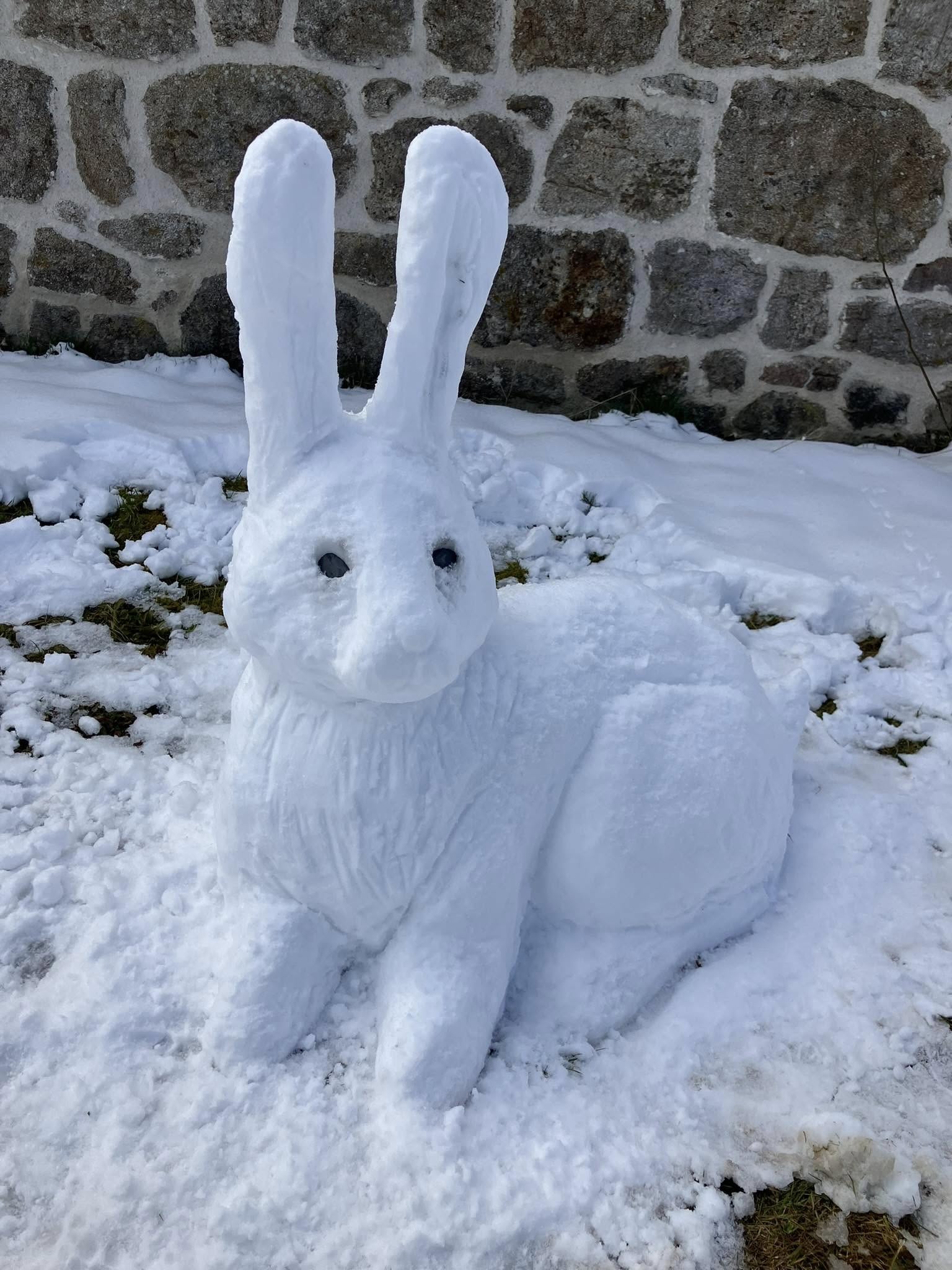 496483276 1507471083988141 1253592637210579106 n