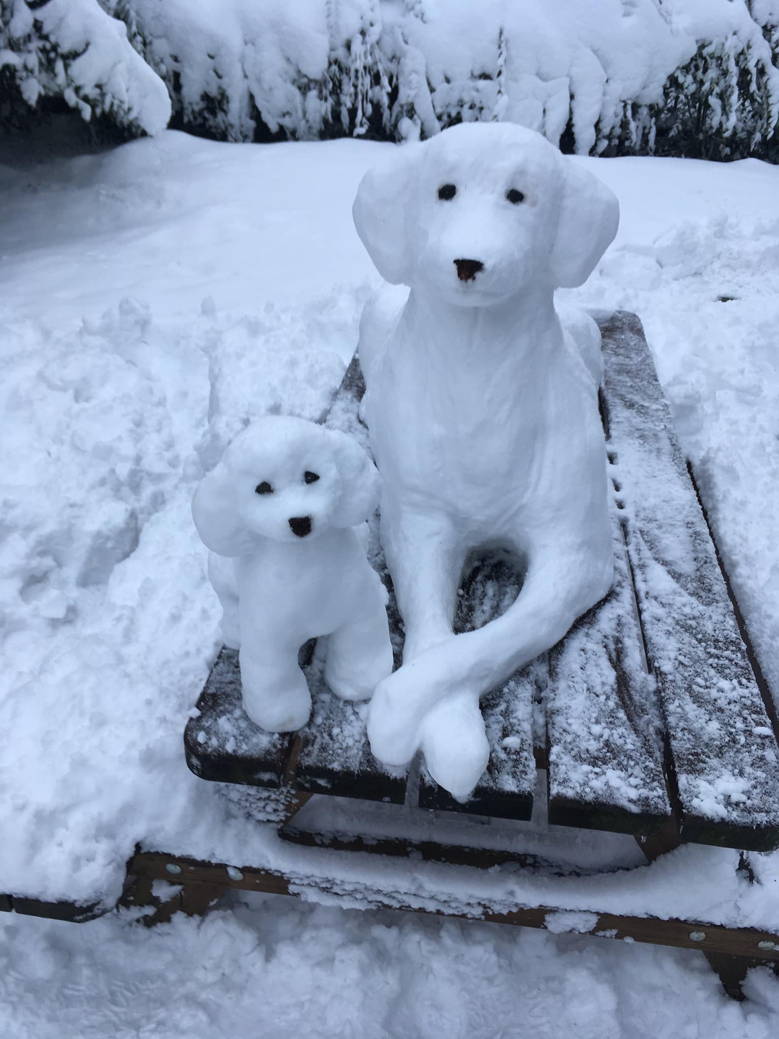 495507653 1499081014827148 5254314765283206710 n