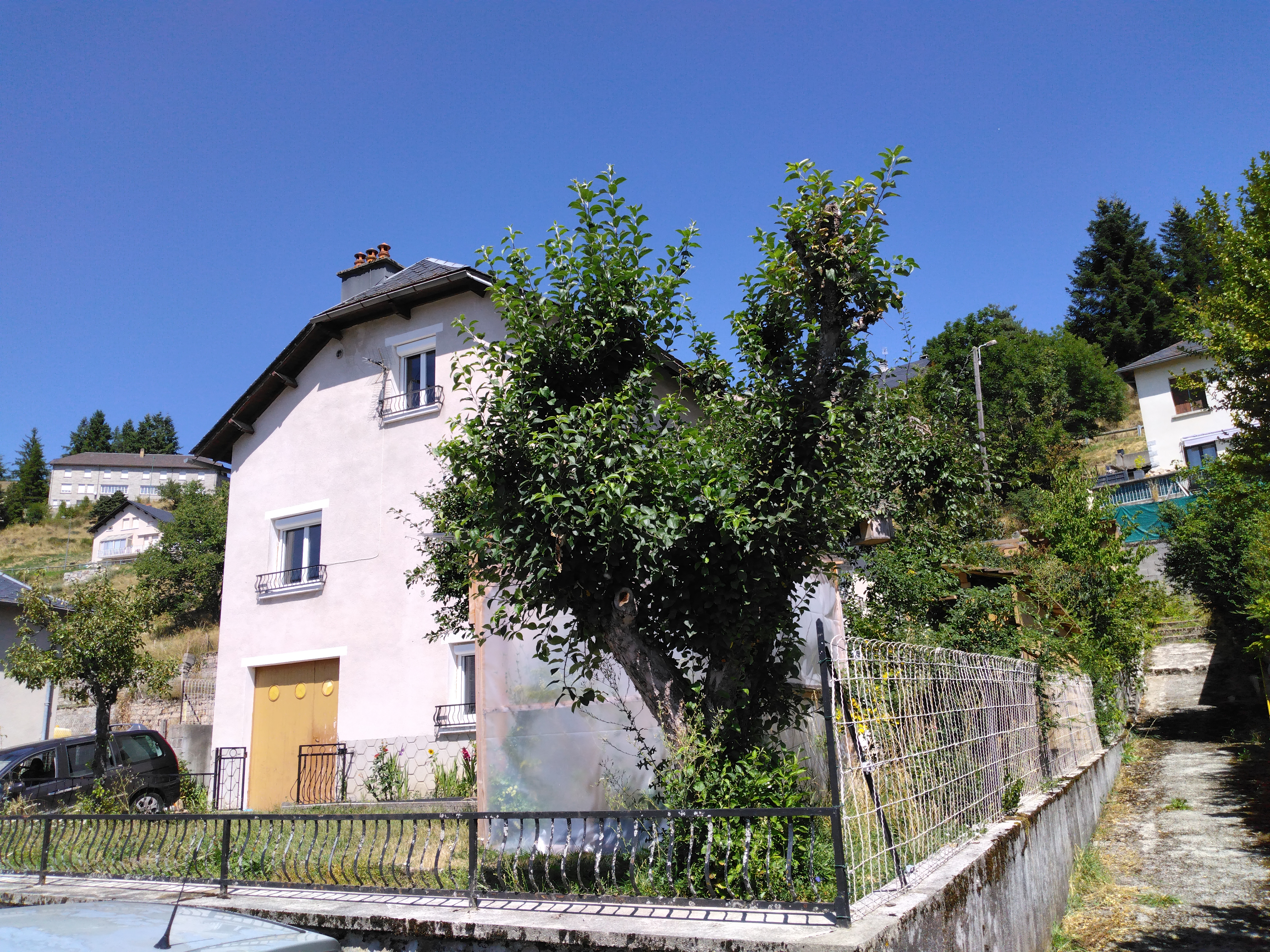 Img 20250811 151705