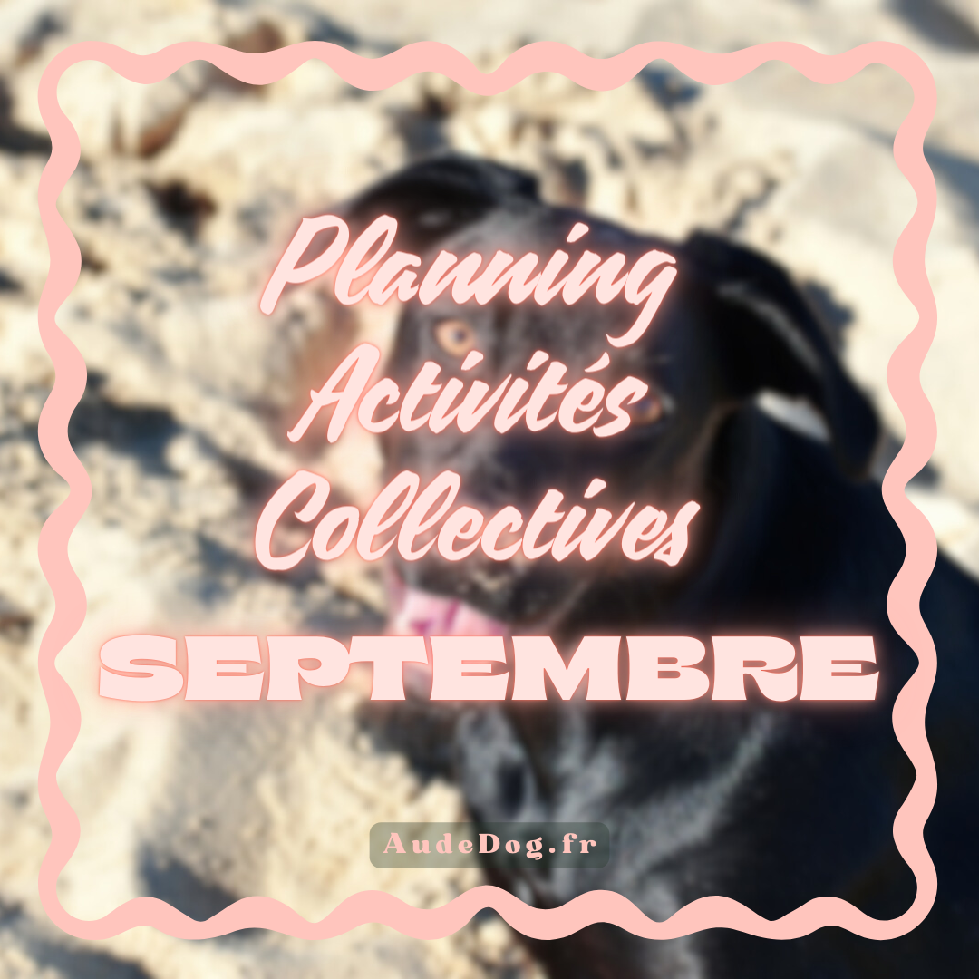 Planning des activités collectives de Septembre
