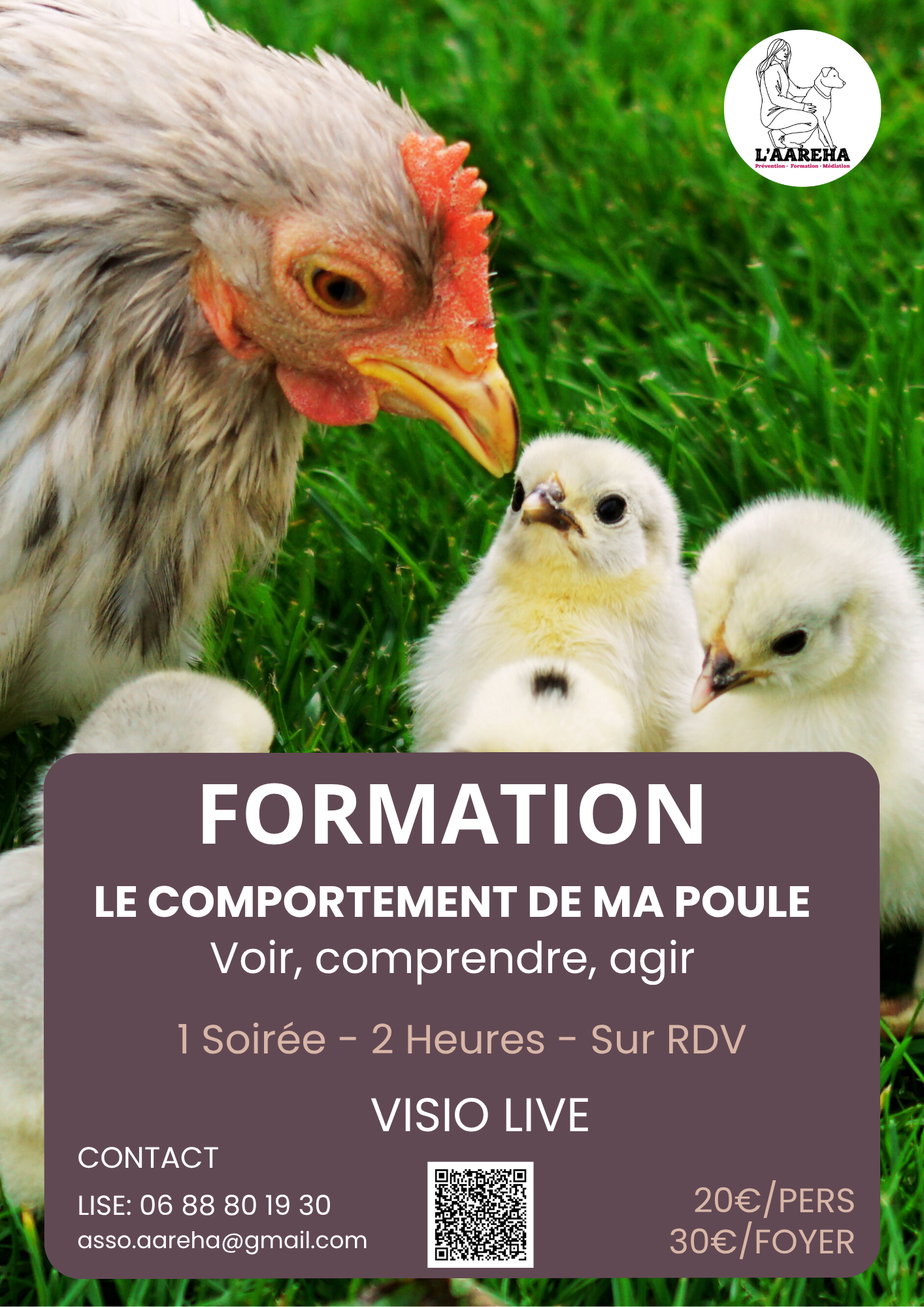 Le-comportement-de-ma-poule
