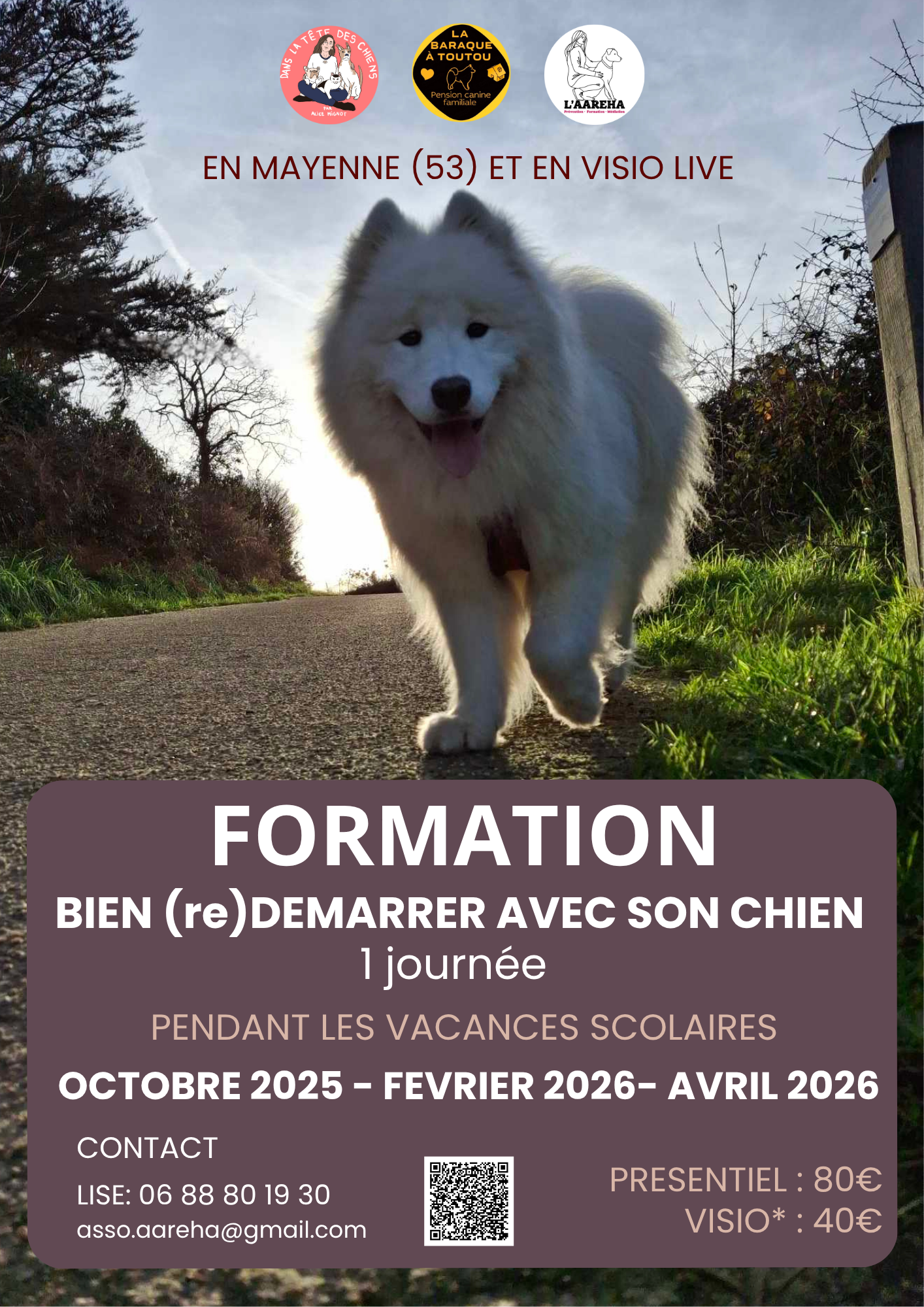 Bien-re-demarrer-avec-son-chien