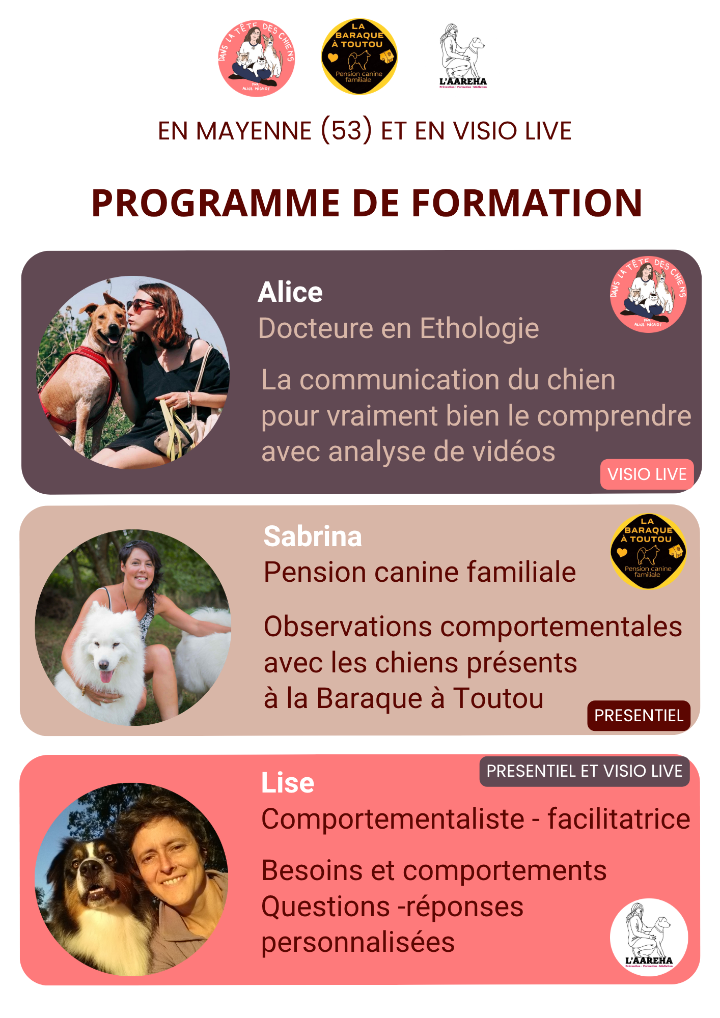 Bine-re-demarrer-avec-son-chien-programme