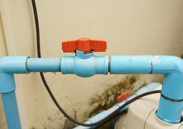 Istockphoto-1407630099-612x612