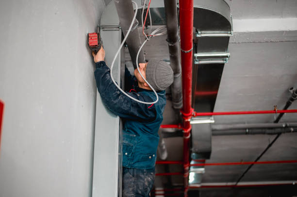 Istockphoto-1307240581-612x612