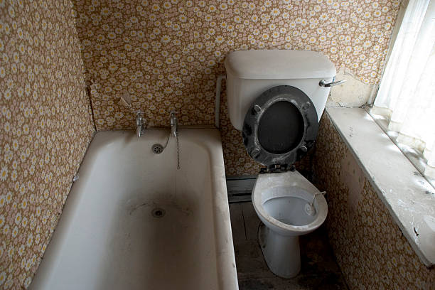 Istockphoto-104235008-612x612