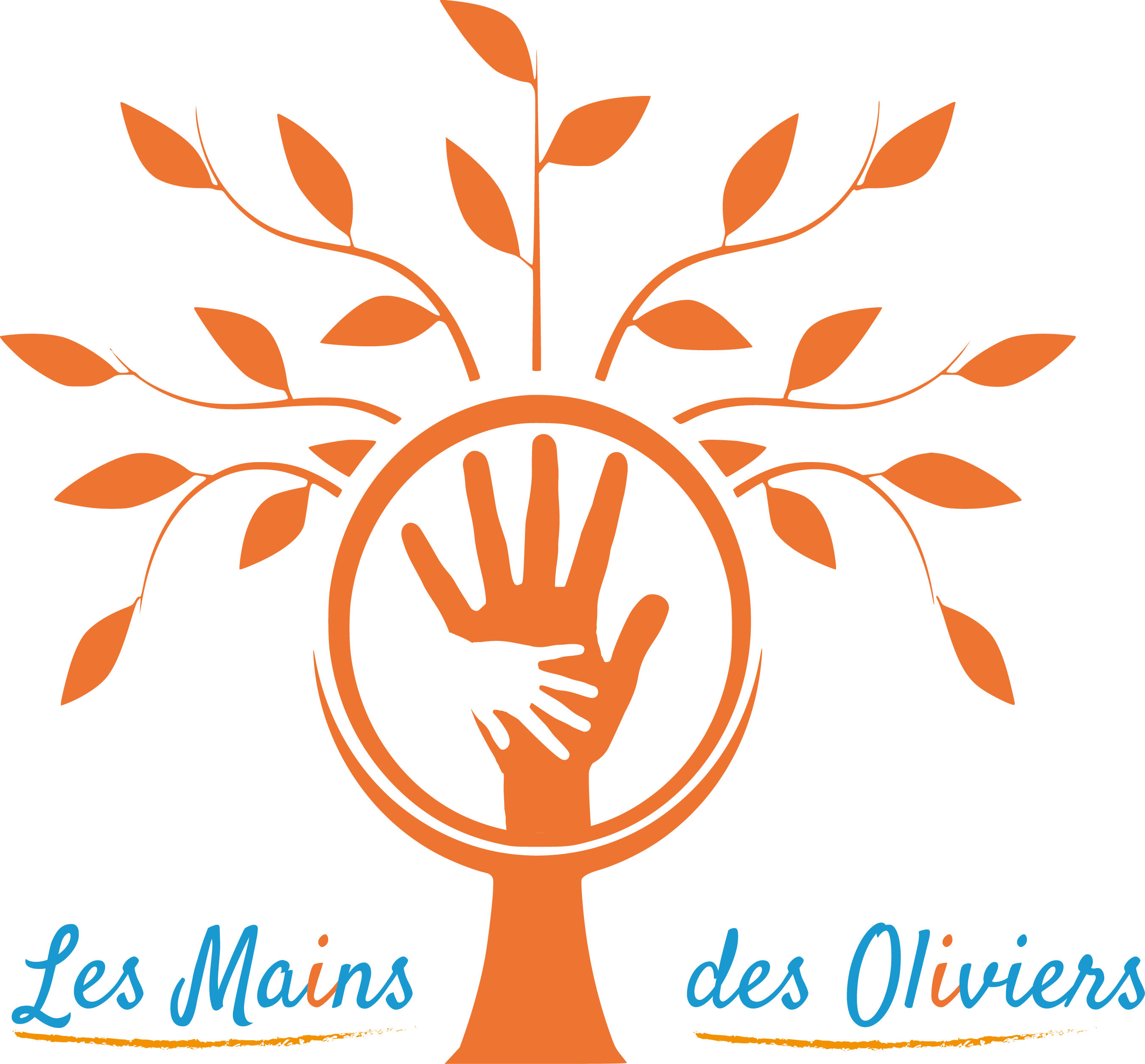 les mains des oliviers