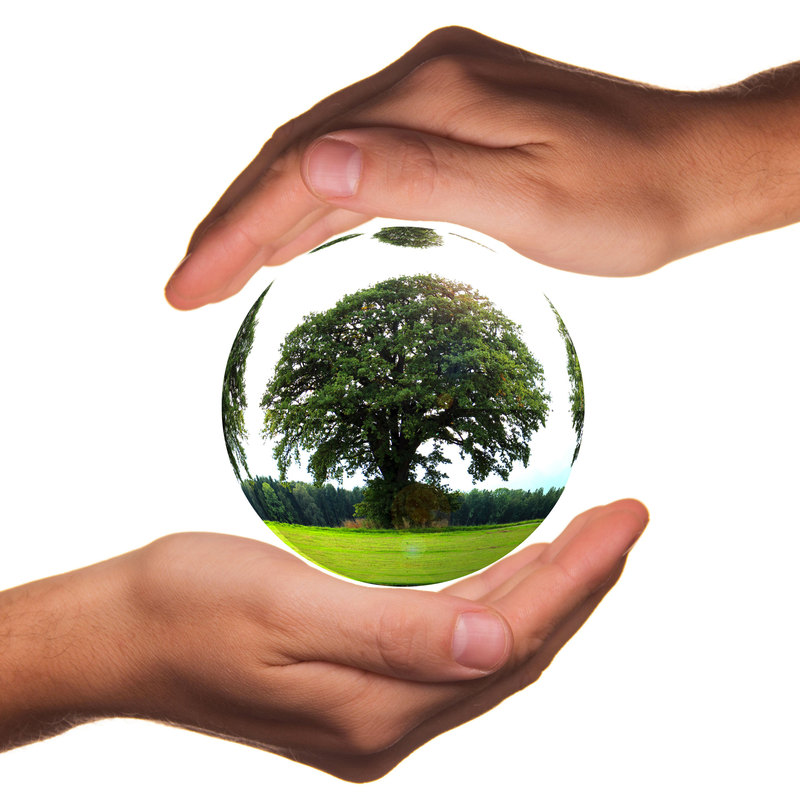 Environnement