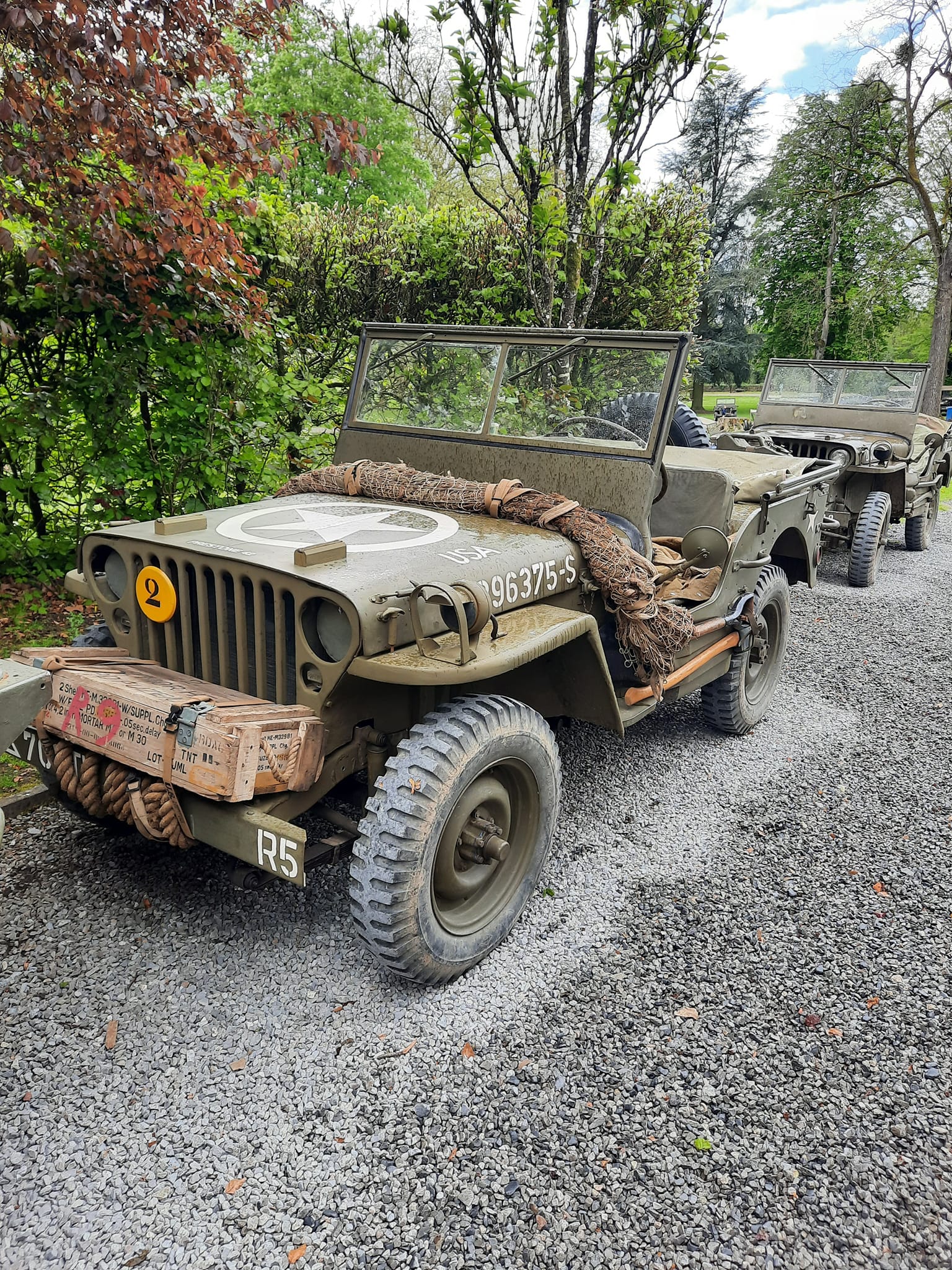 440796431 10232004147476373 3242936617788561956 n