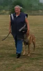 marche en laisse détendue, malinois, val d'oise, éducation canine