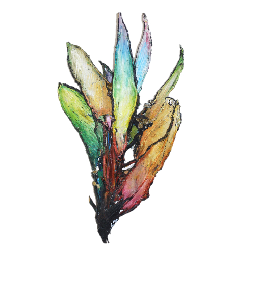 Chimere-vegetale