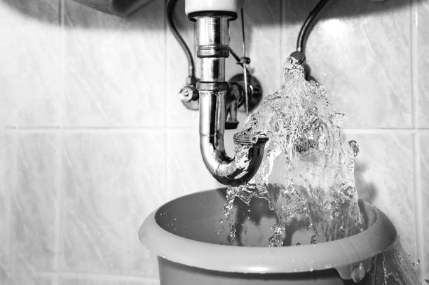 Istockphoto-1350033407-612x612