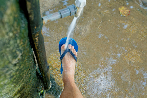 Istockphoto-2204674182-612x612