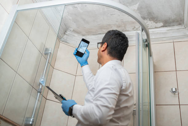 Istockphoto-1421538142-612x612